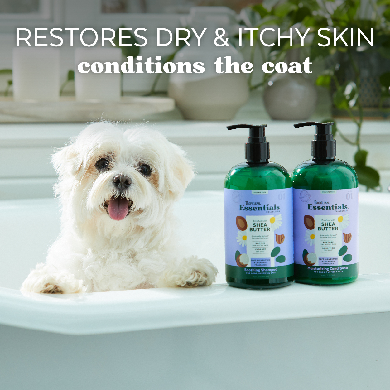 Shea Butter Moisturizing Conditioner for Dogs, Puppies & Cats