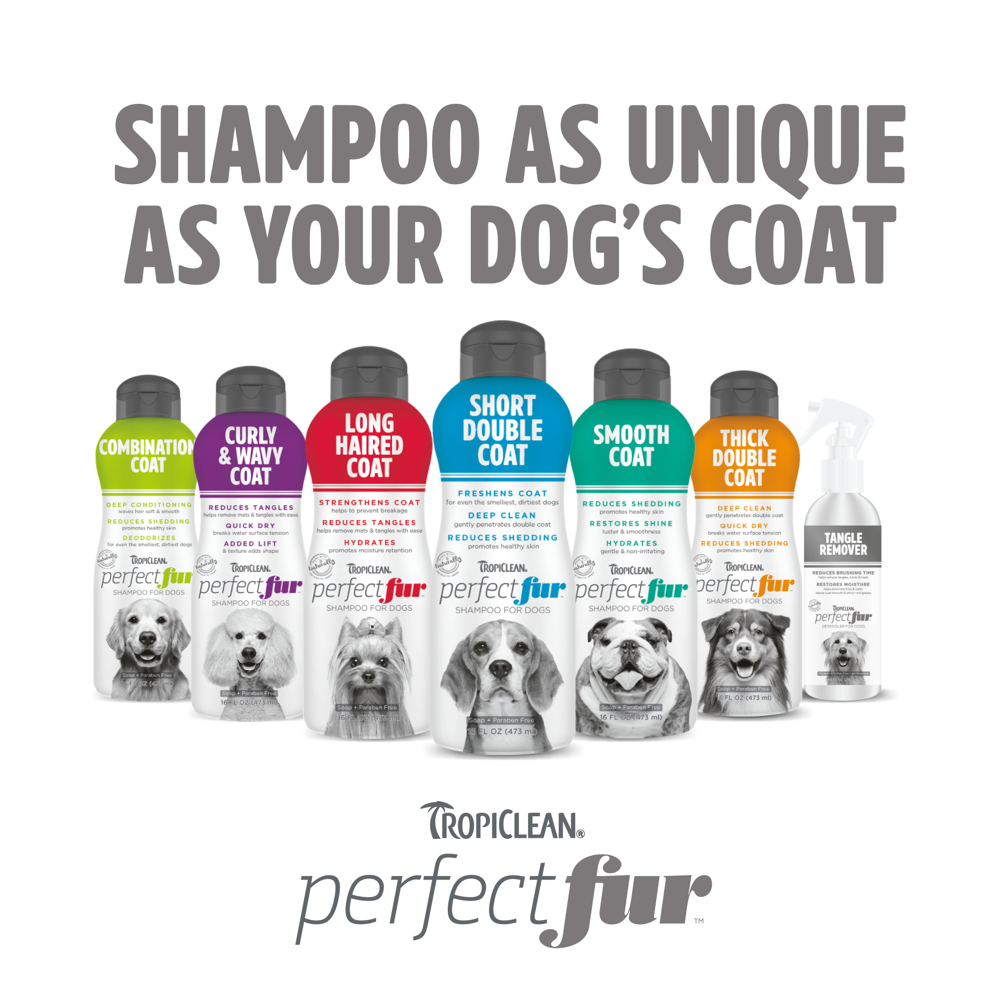 Short Double Coat Shampoo for Dogs