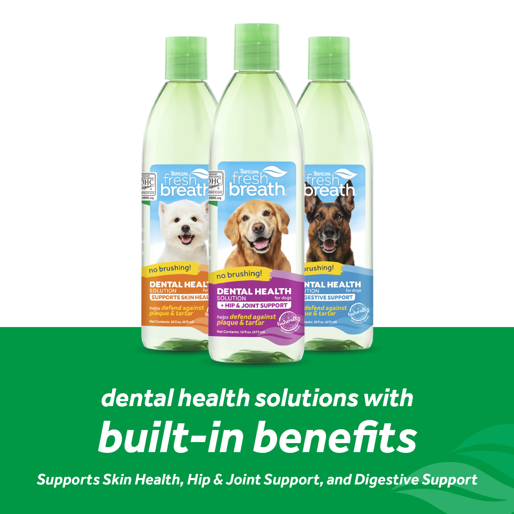 Dental Health Solution Plus Supports Skin Health for Dogs