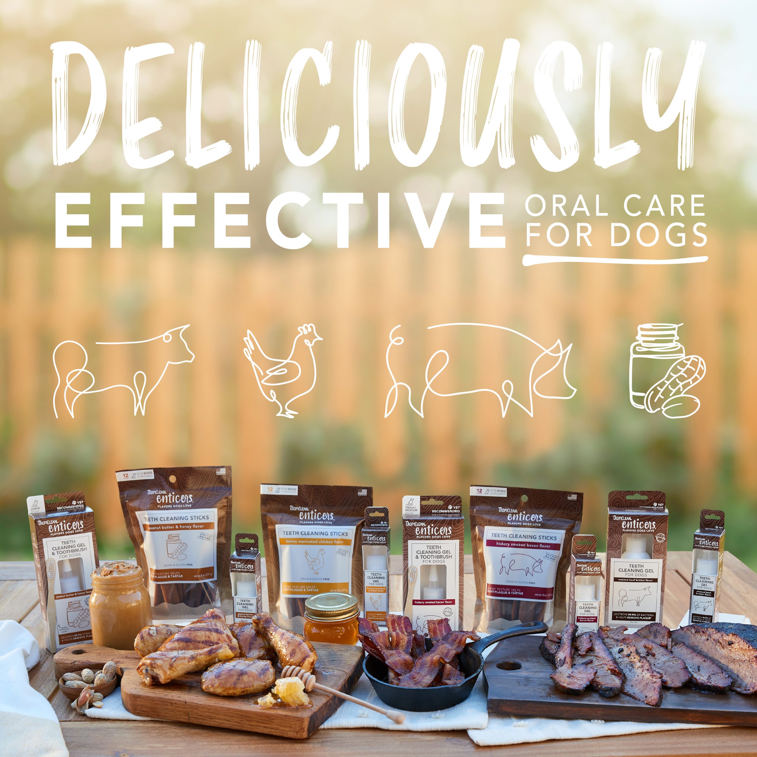 Teeth Cleaning Gel for Dogs – Hickory Smoked Bacon Flavor