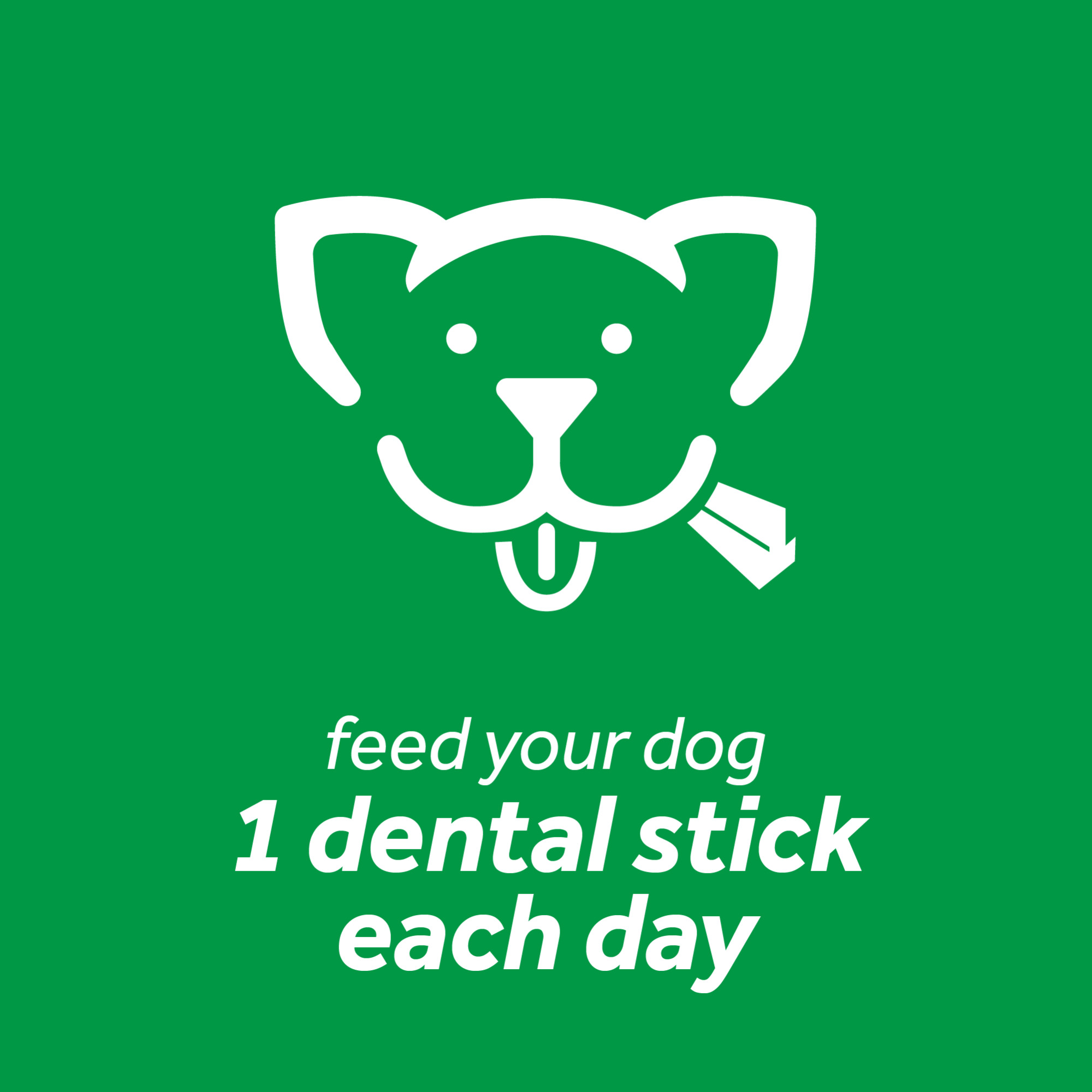 Dental Sticks for Large Dogs