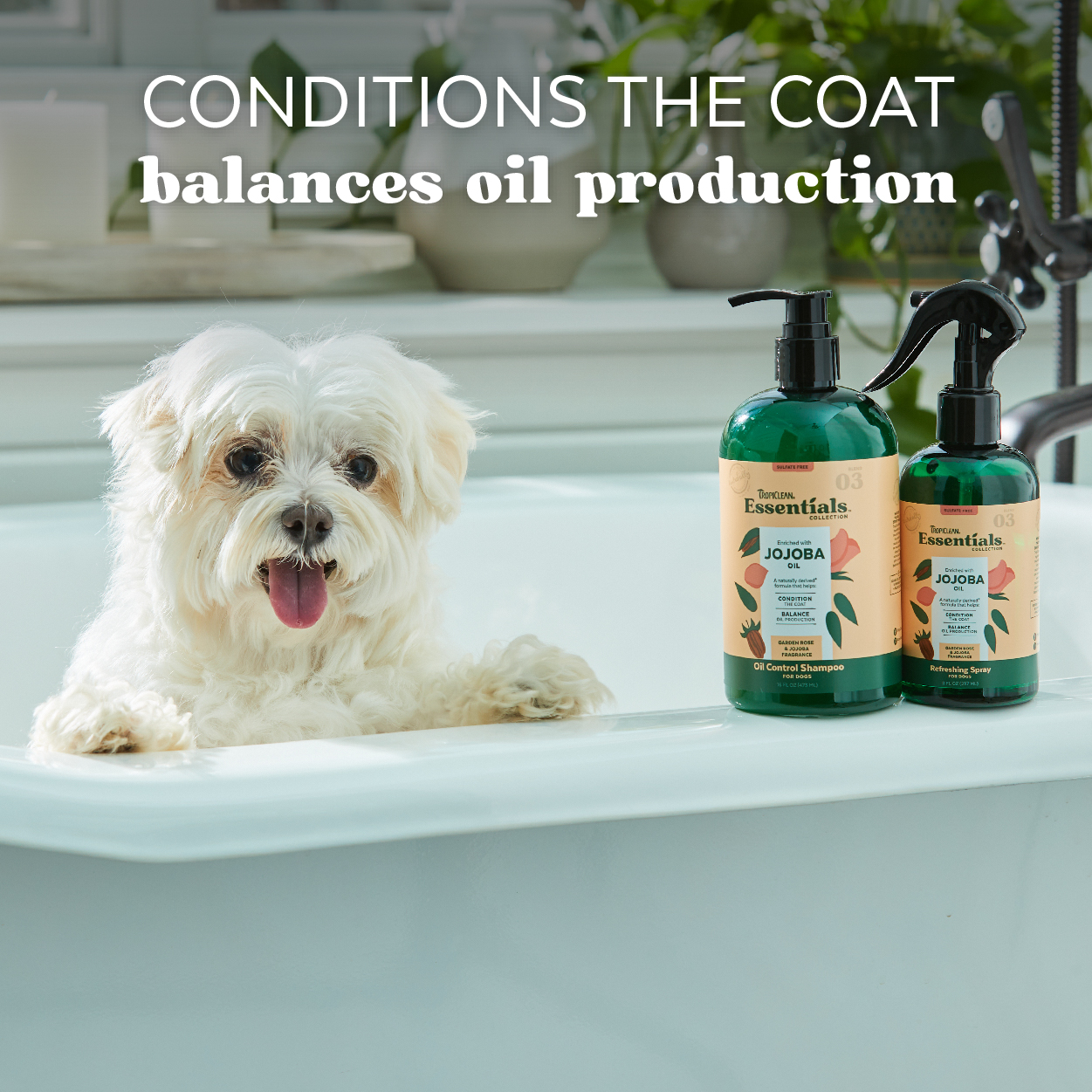 Jojoba Oil Control Shampoo for Dogs