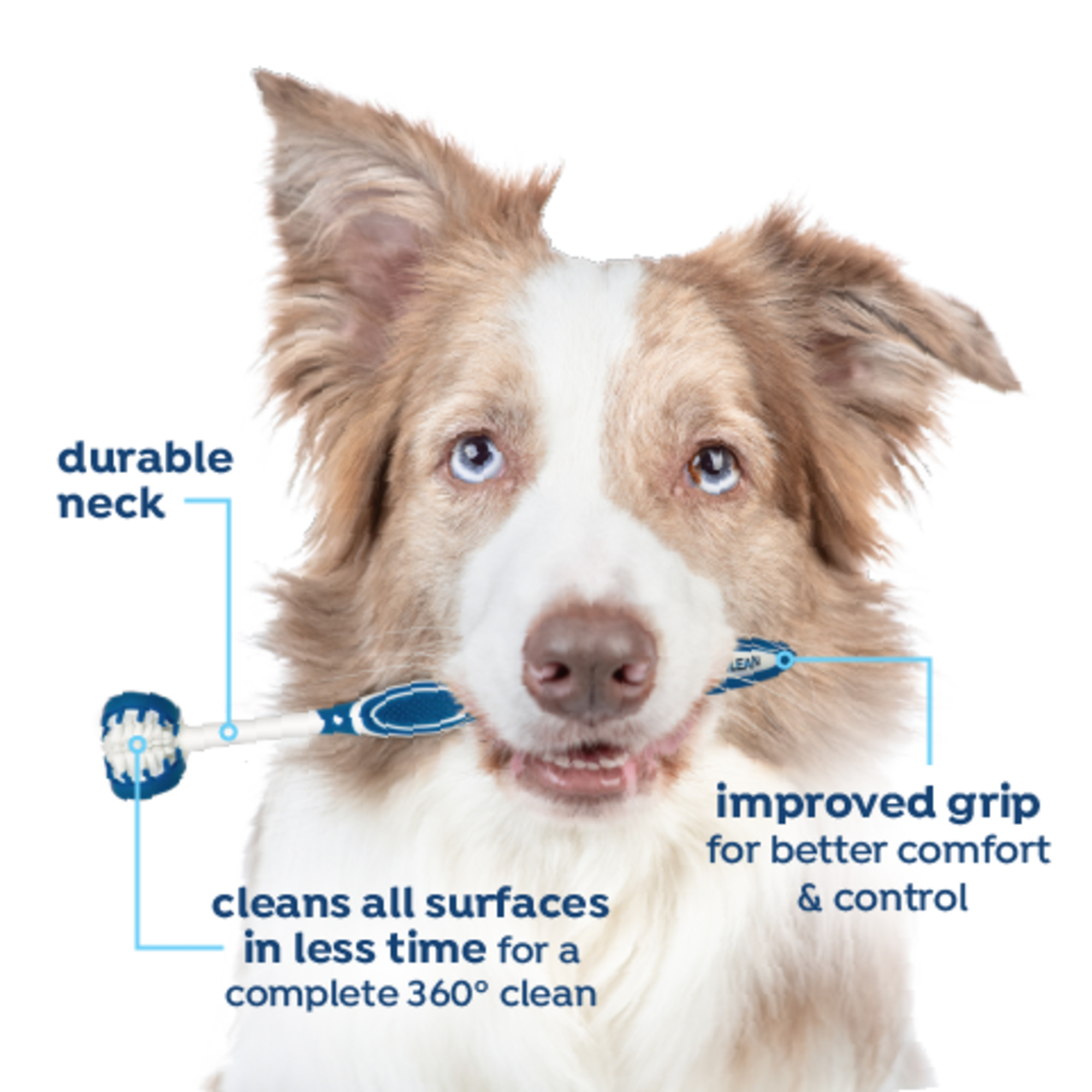 Vet Strength Oral Care Kit for Large Dogs