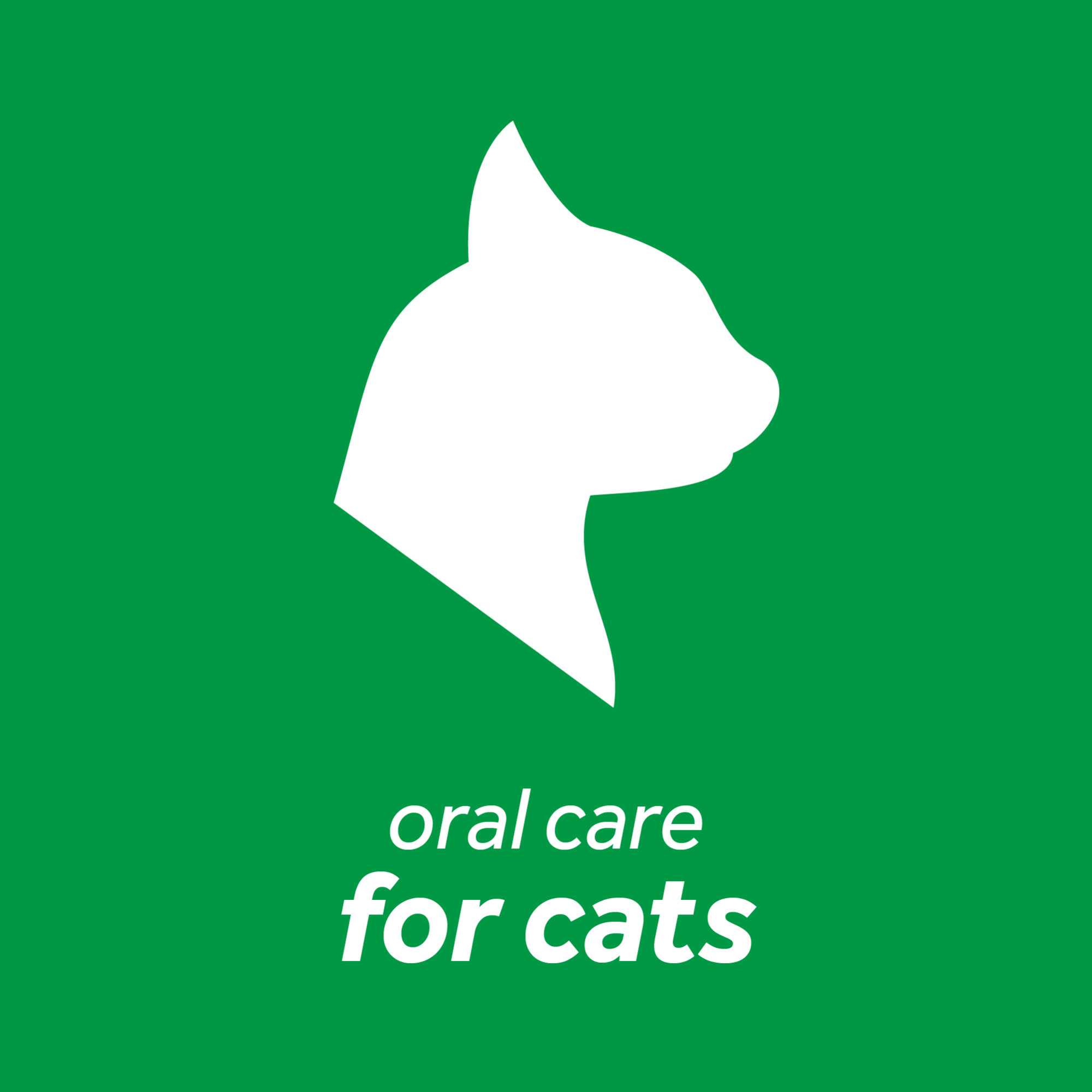 Oral Care Kit for Cats