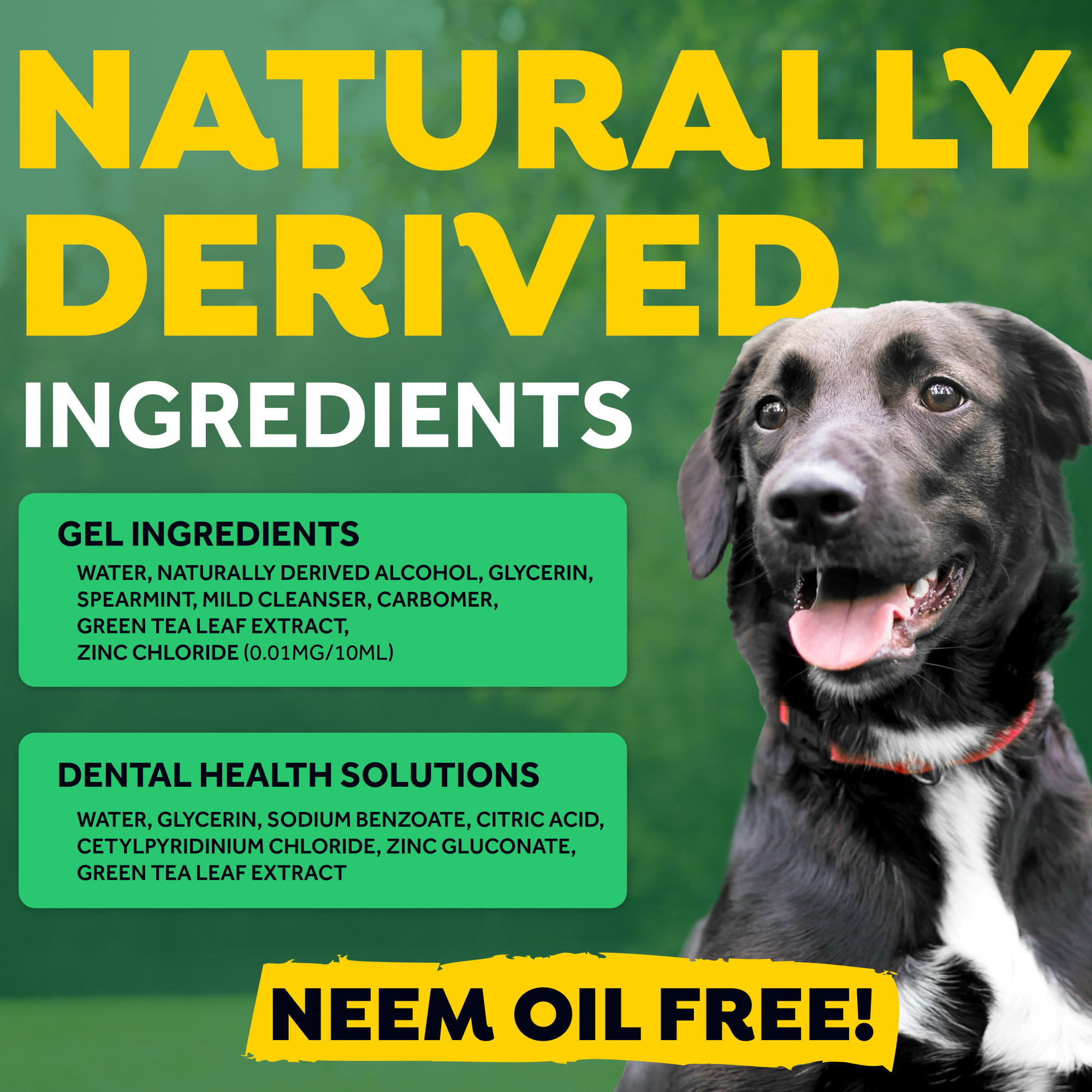 Dental Trial Kit for Dogs