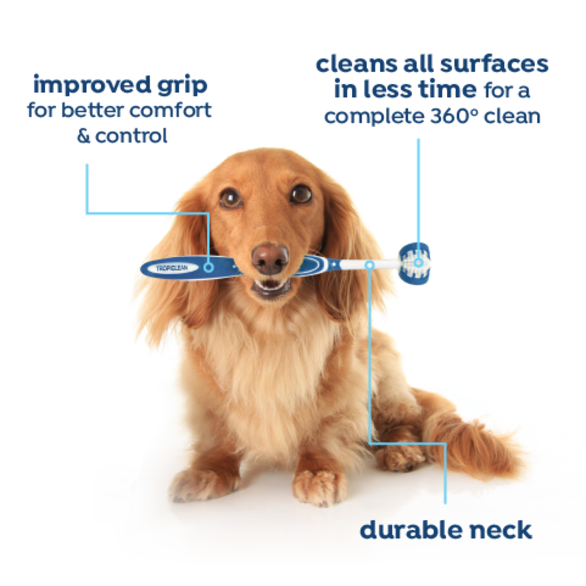 Vet Strength Oral Care Kit for Small & Medium Dogs