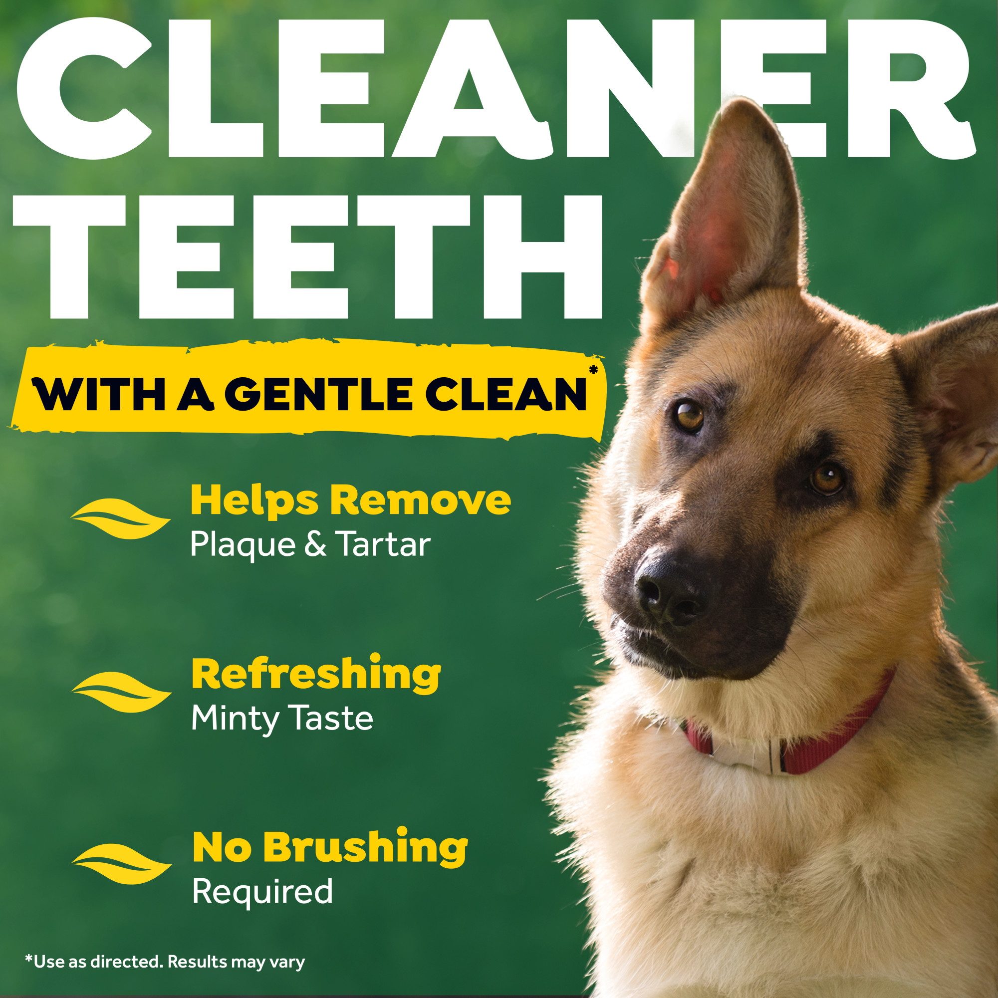 Dental Wipes for Dogs