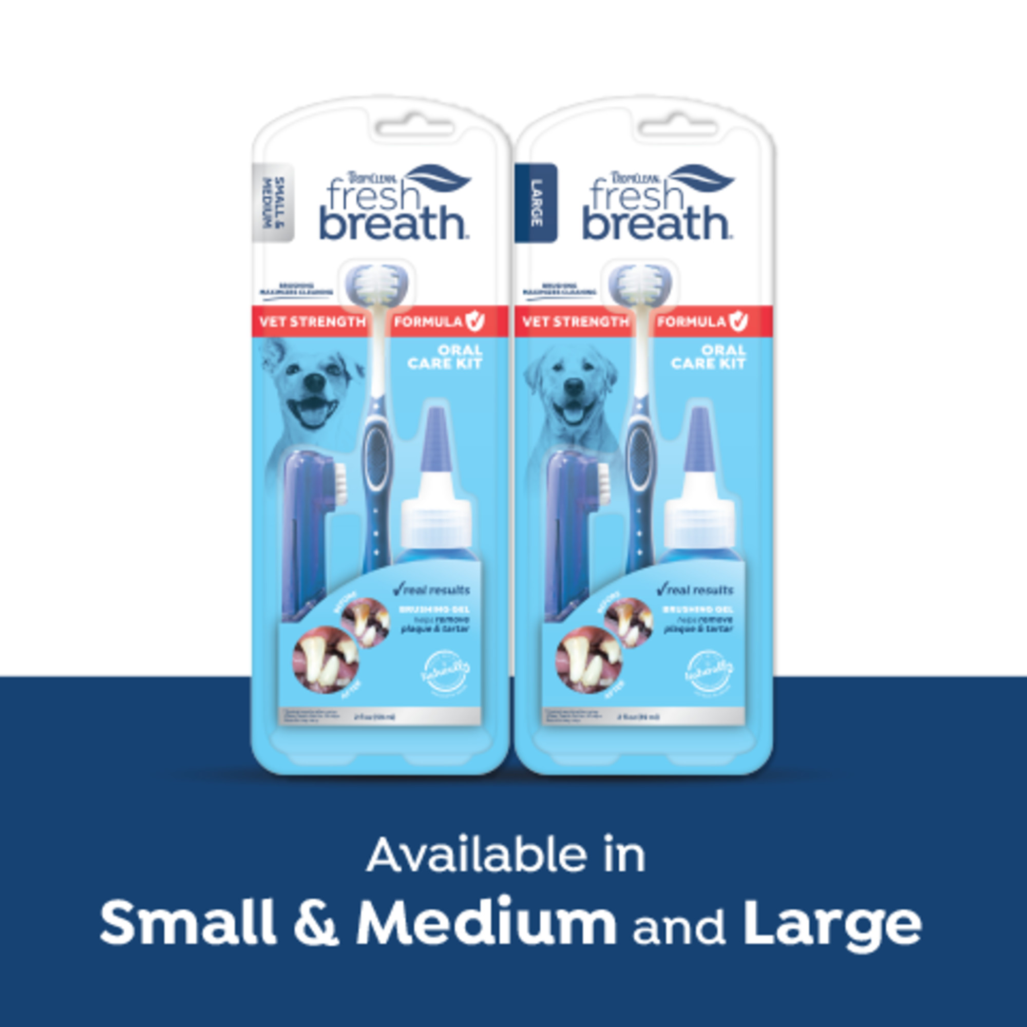 Vet Strength Oral Care Kit for Small & Medium Dogs