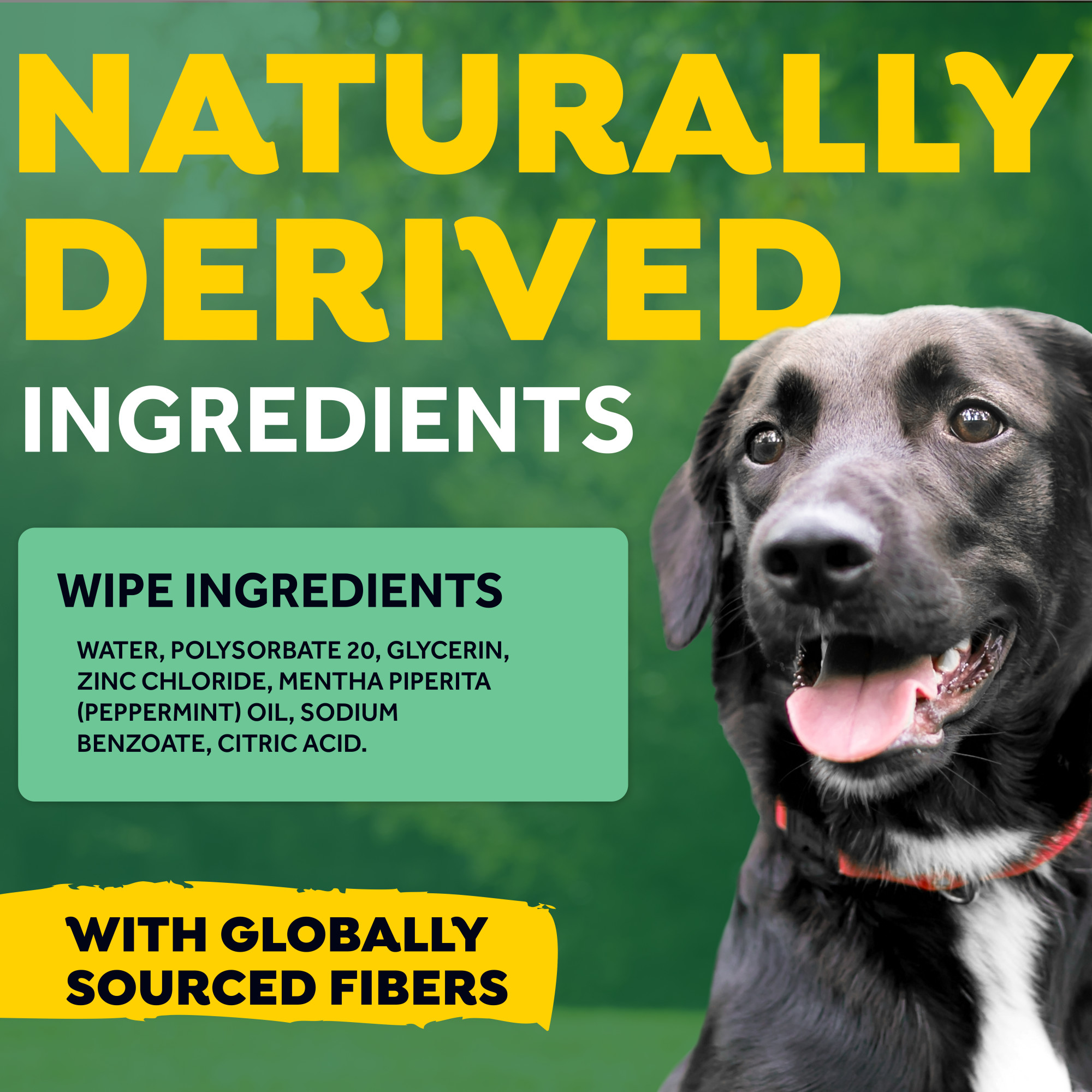 Dental Wipes for Dogs