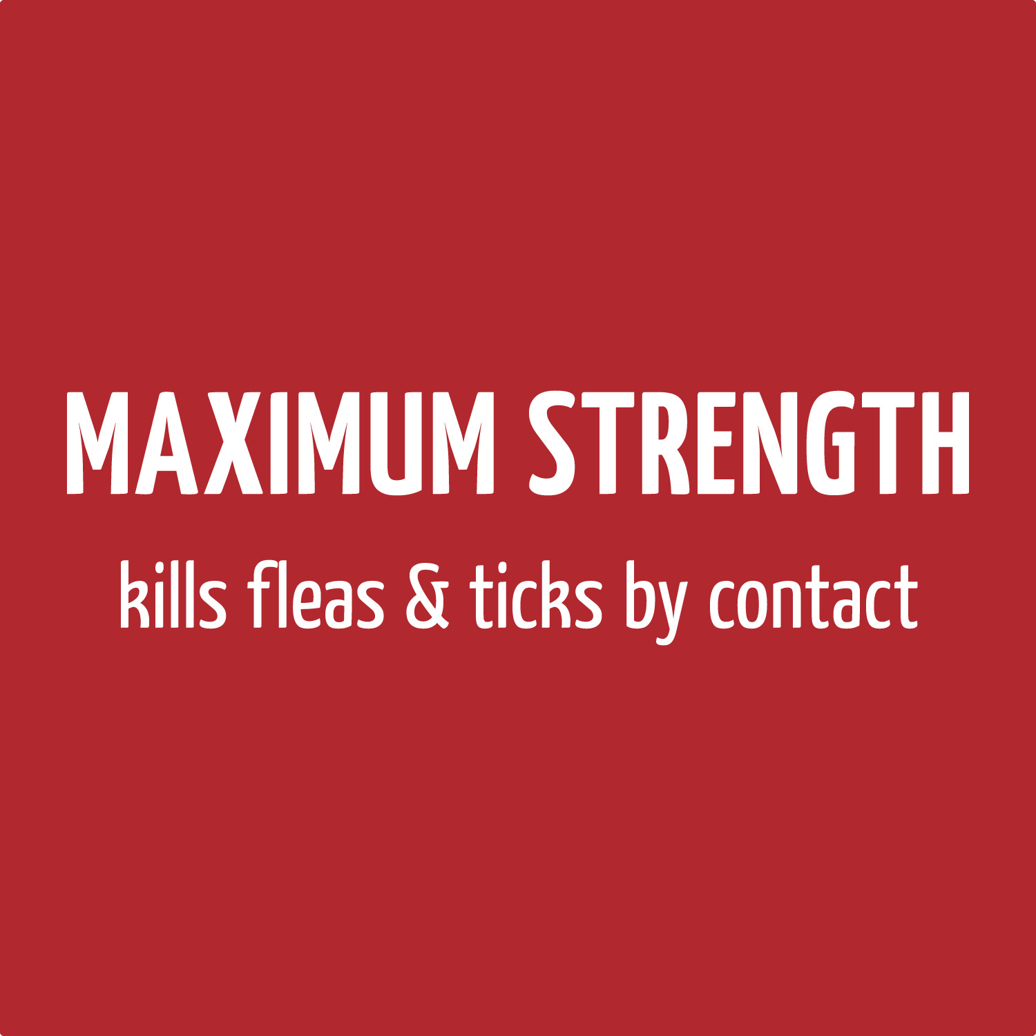 Flea & Tick Maximum Strength Shampoo for Dogs