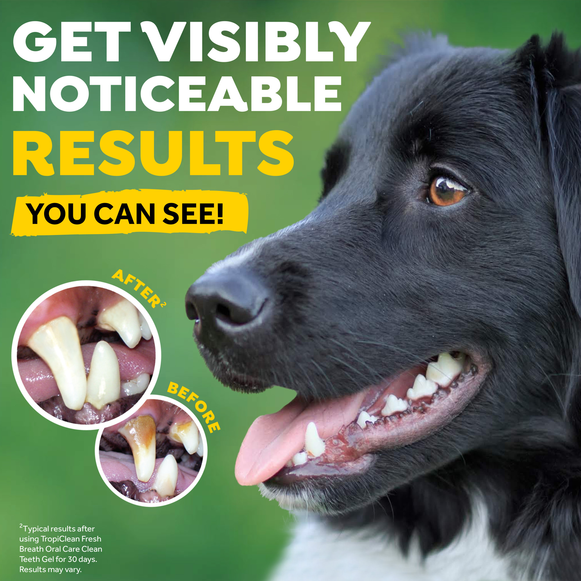 Dental Trial Kit for Dogs
