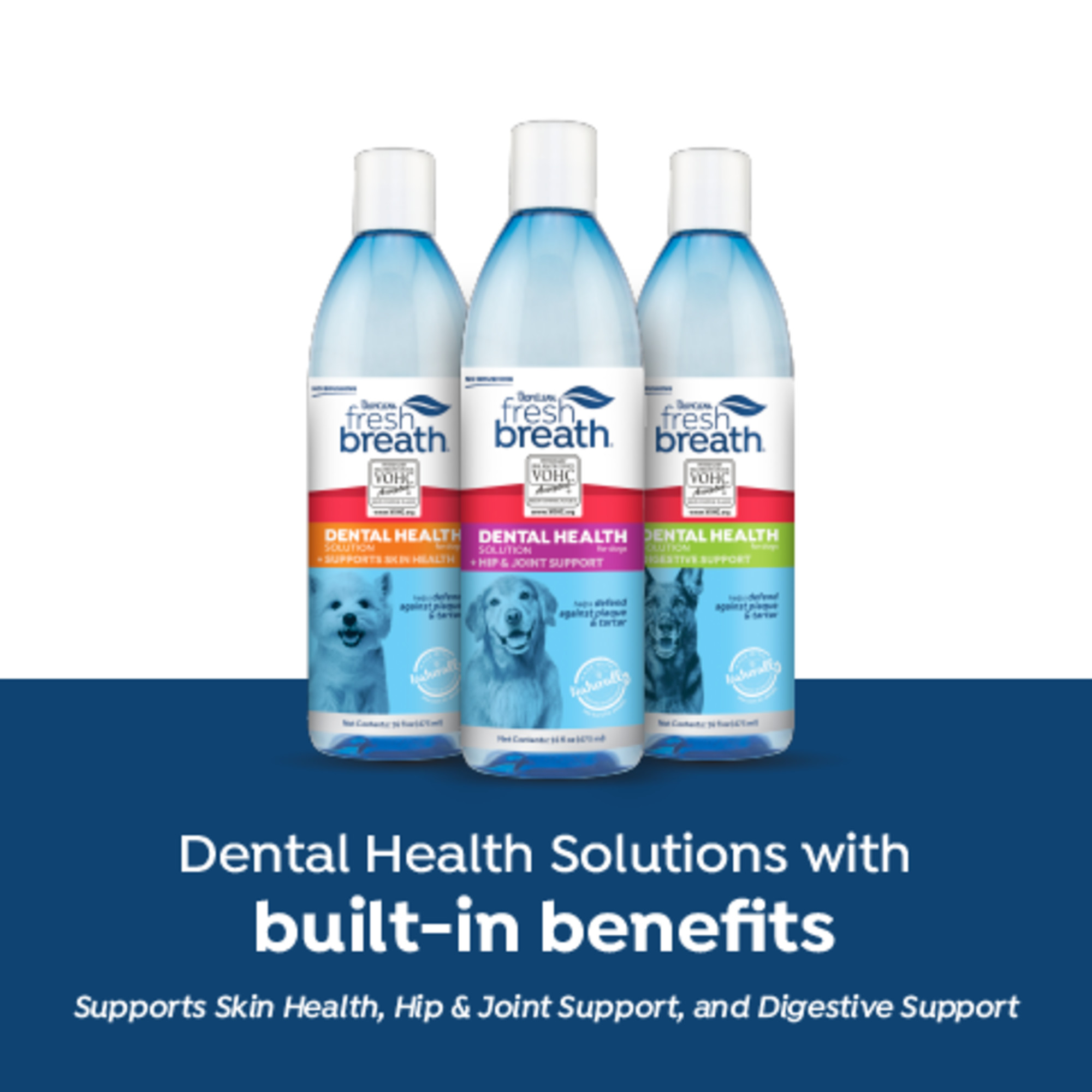 Dental Health Solution Plus Hip & Joint or Dogs