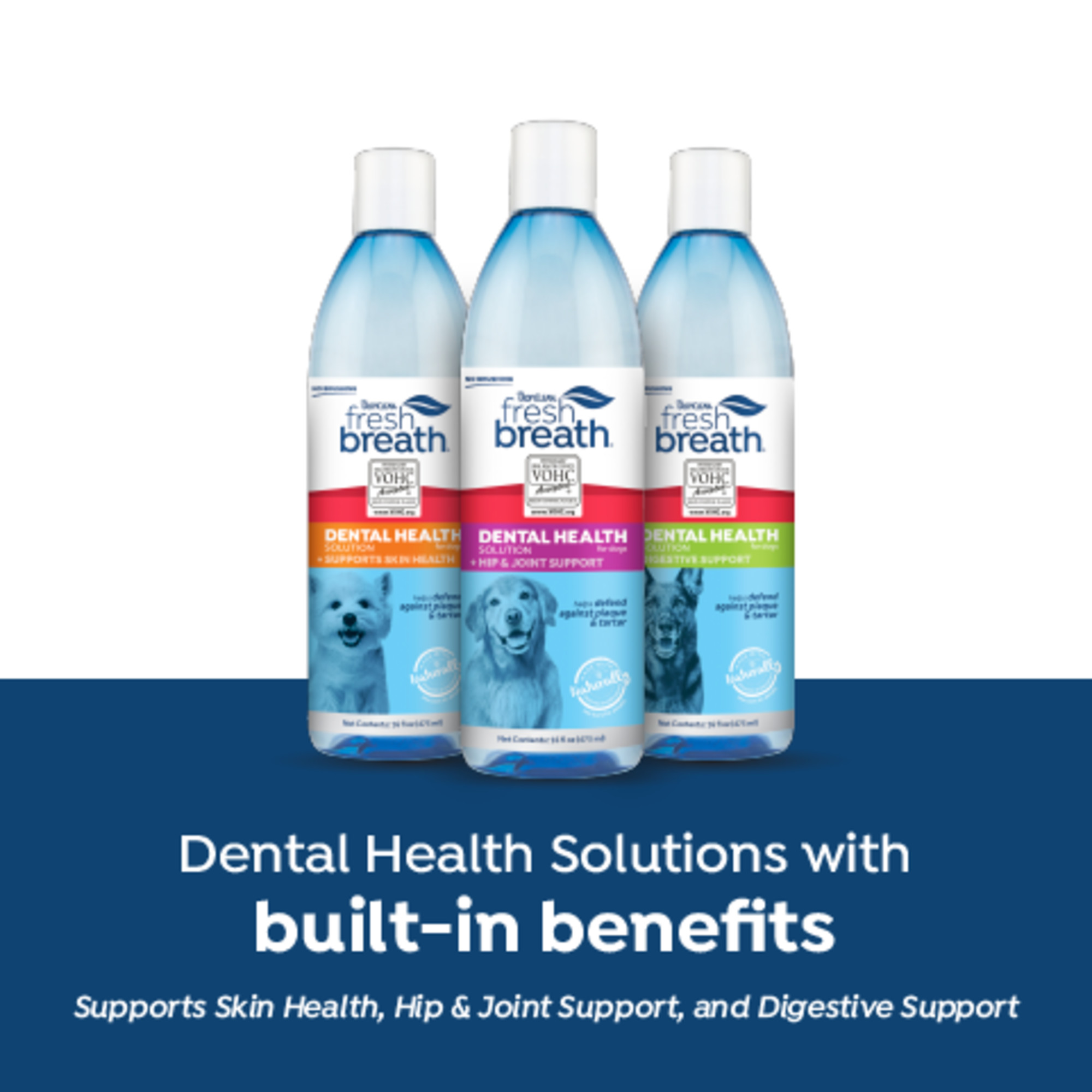 Dental Health Solution Plus Supports Skin Health for Dogs