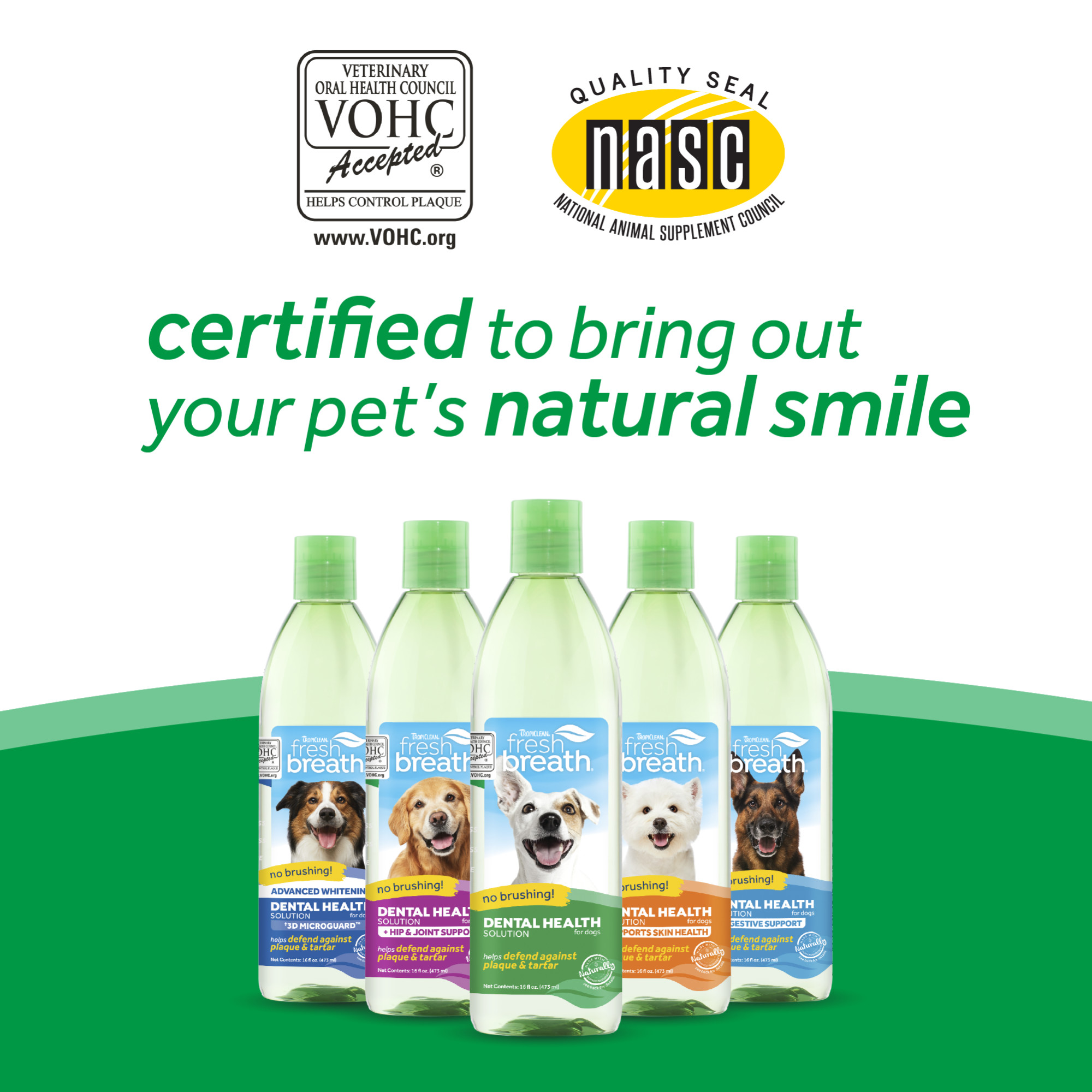 Dental Health Solution Plus Supports Skin Health for Dogs