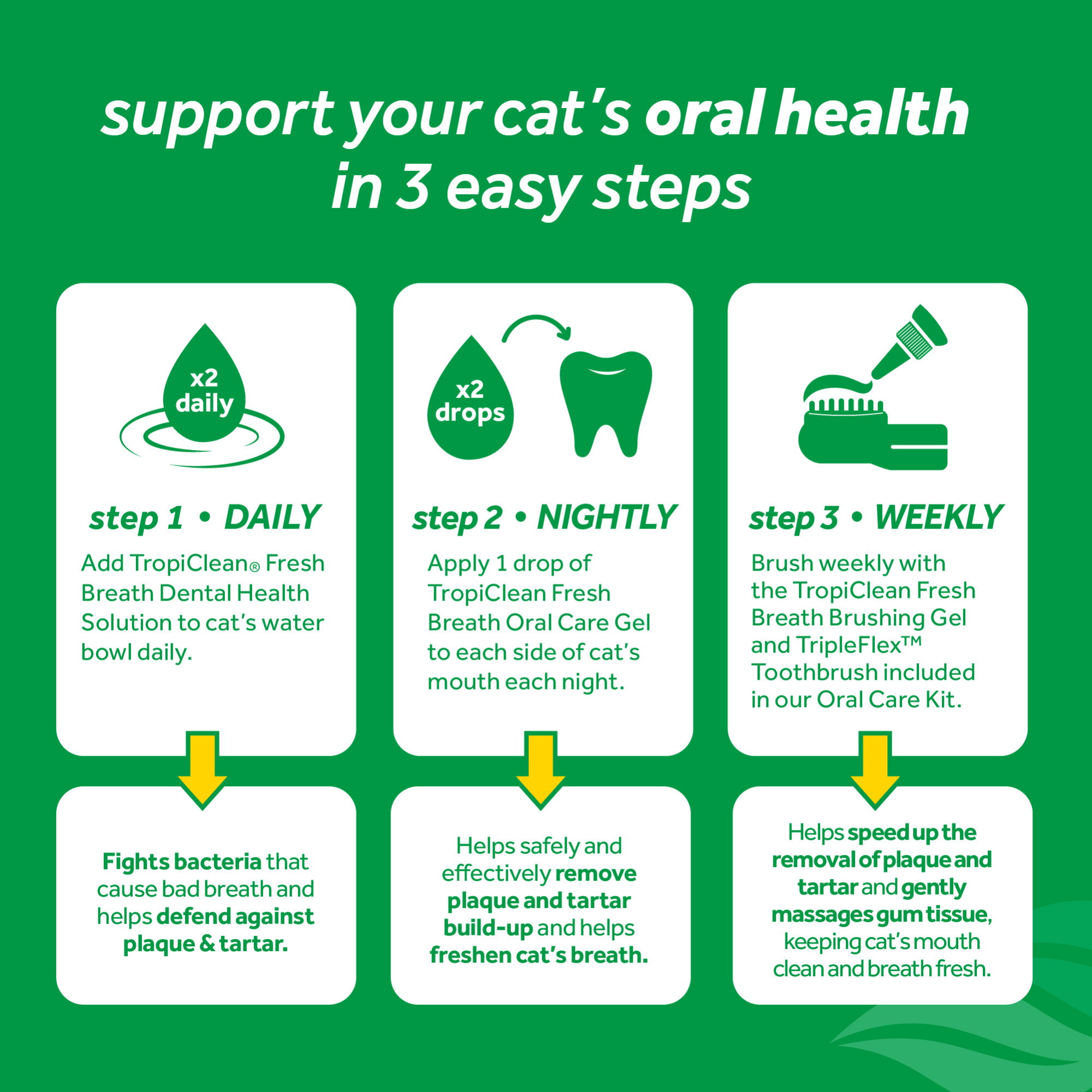 Dental Health Solution for Cats