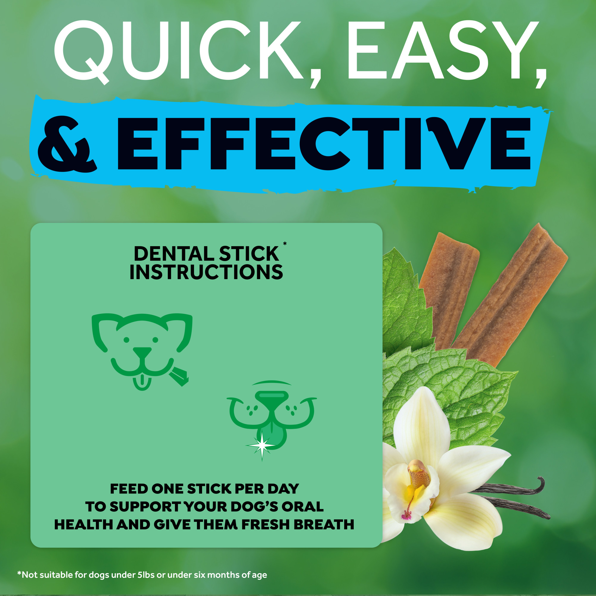 Dental Sticks for Small Dogs