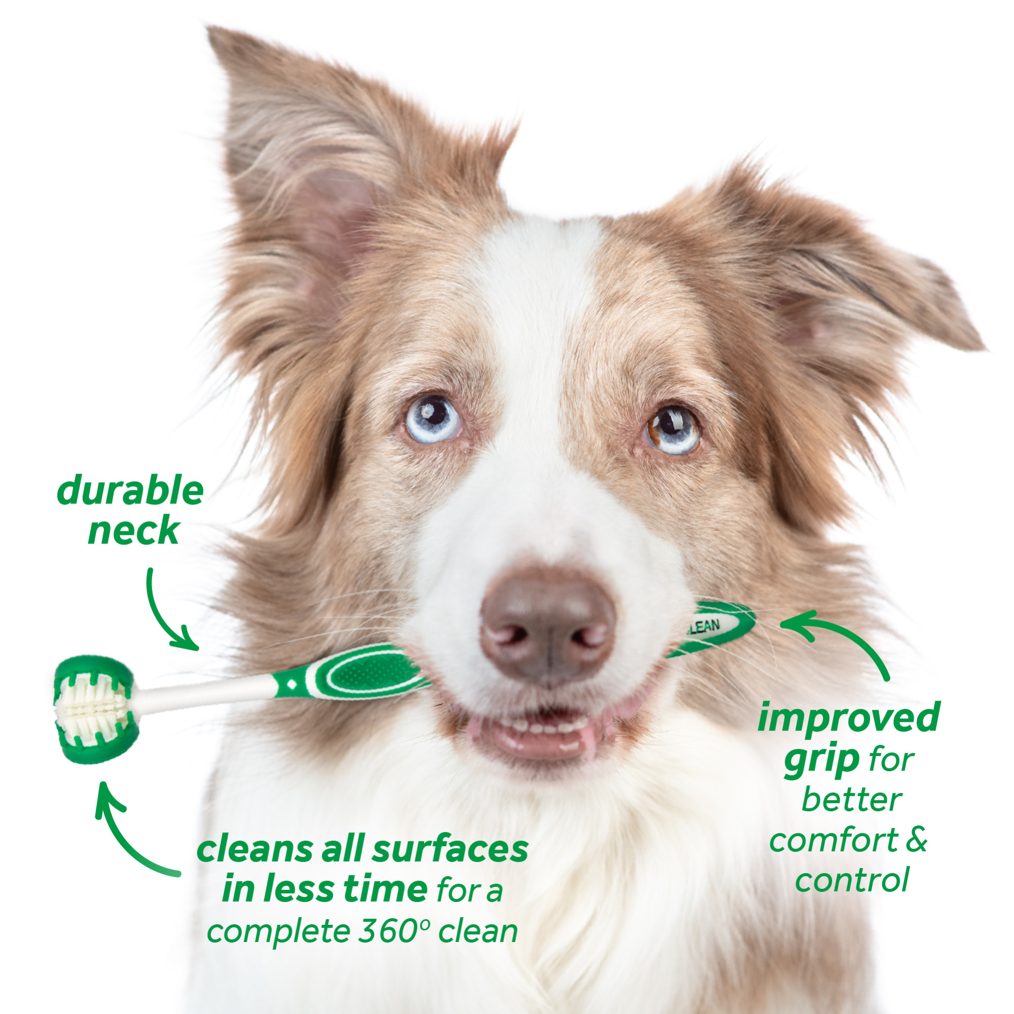 Tripleflex Toothbrush for Large Dogs