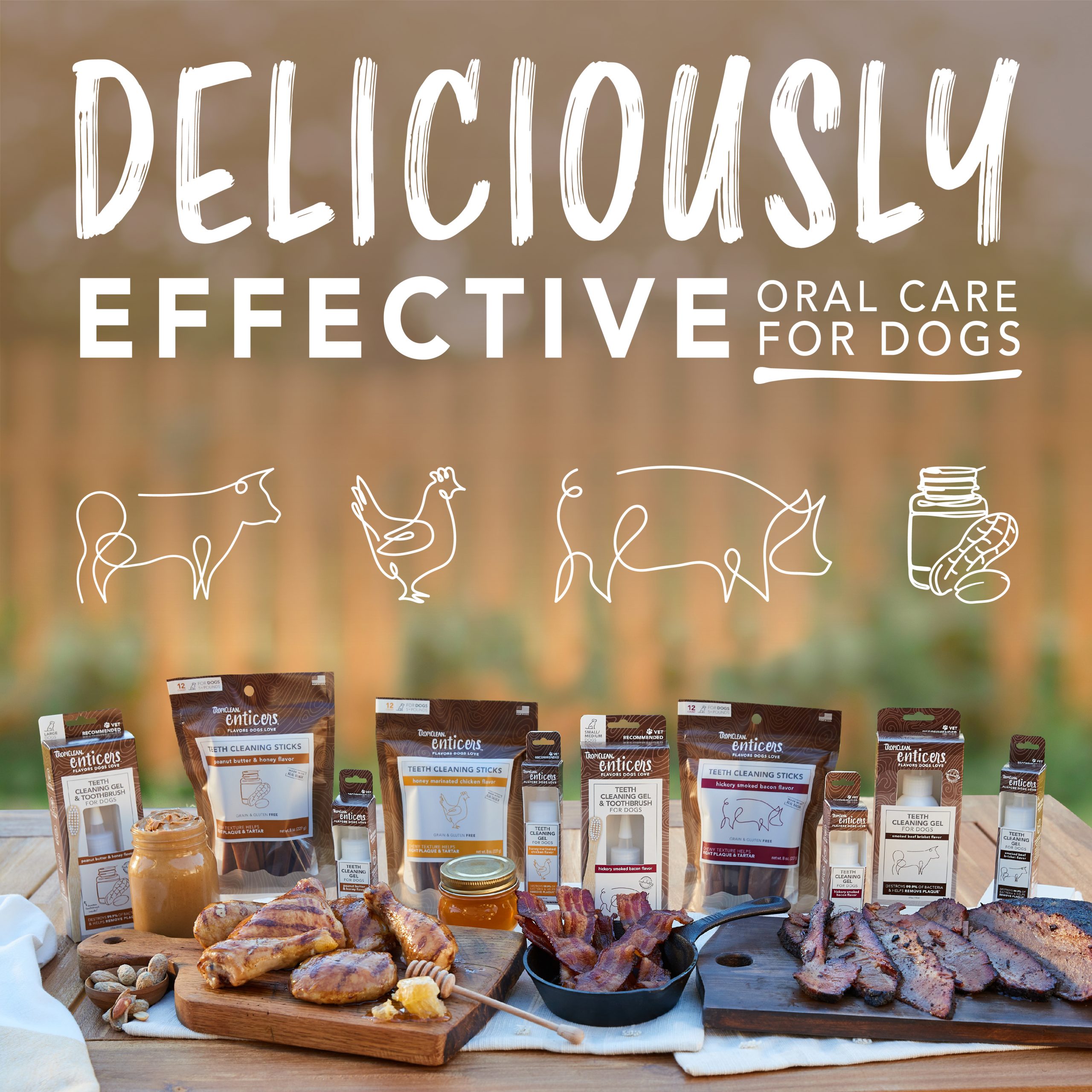 Teeth Cleaning Gel & Toothbrush for Small/Medium Dogs – Peanut Butter & Honey Flavor