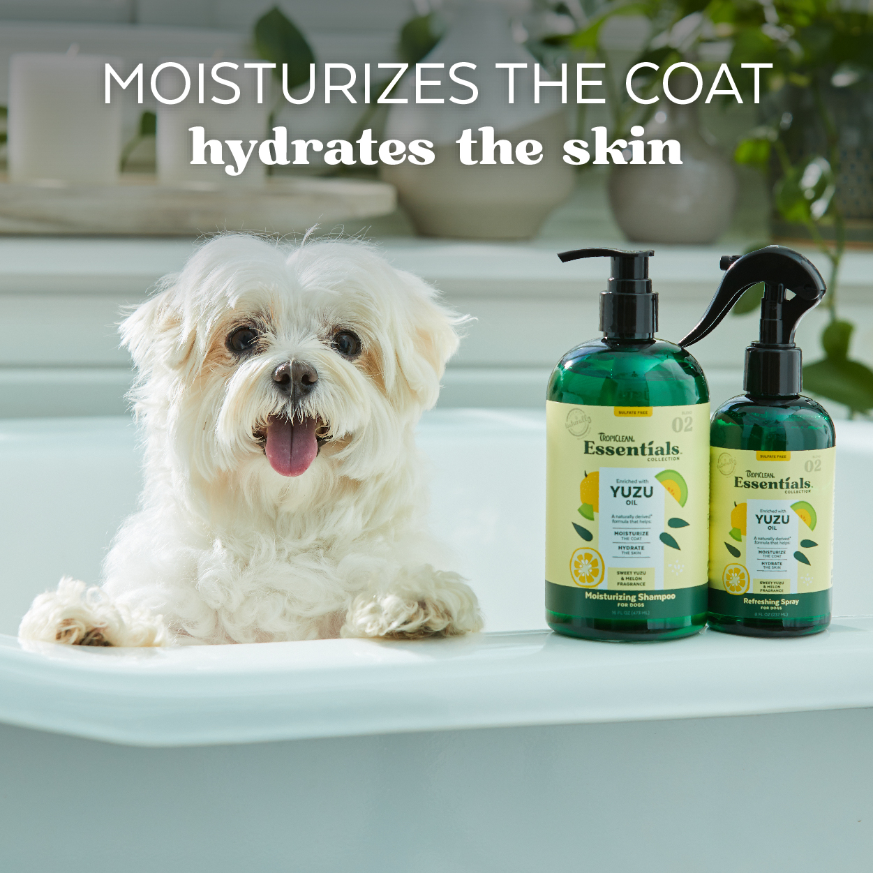 Yuzu Oil Moisturizing Shampoo for Dogs