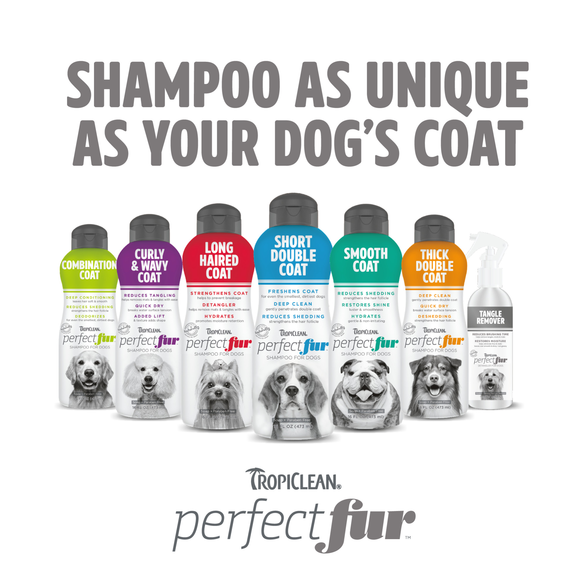 Curly & Wavy Coat Shampoo for Dogs