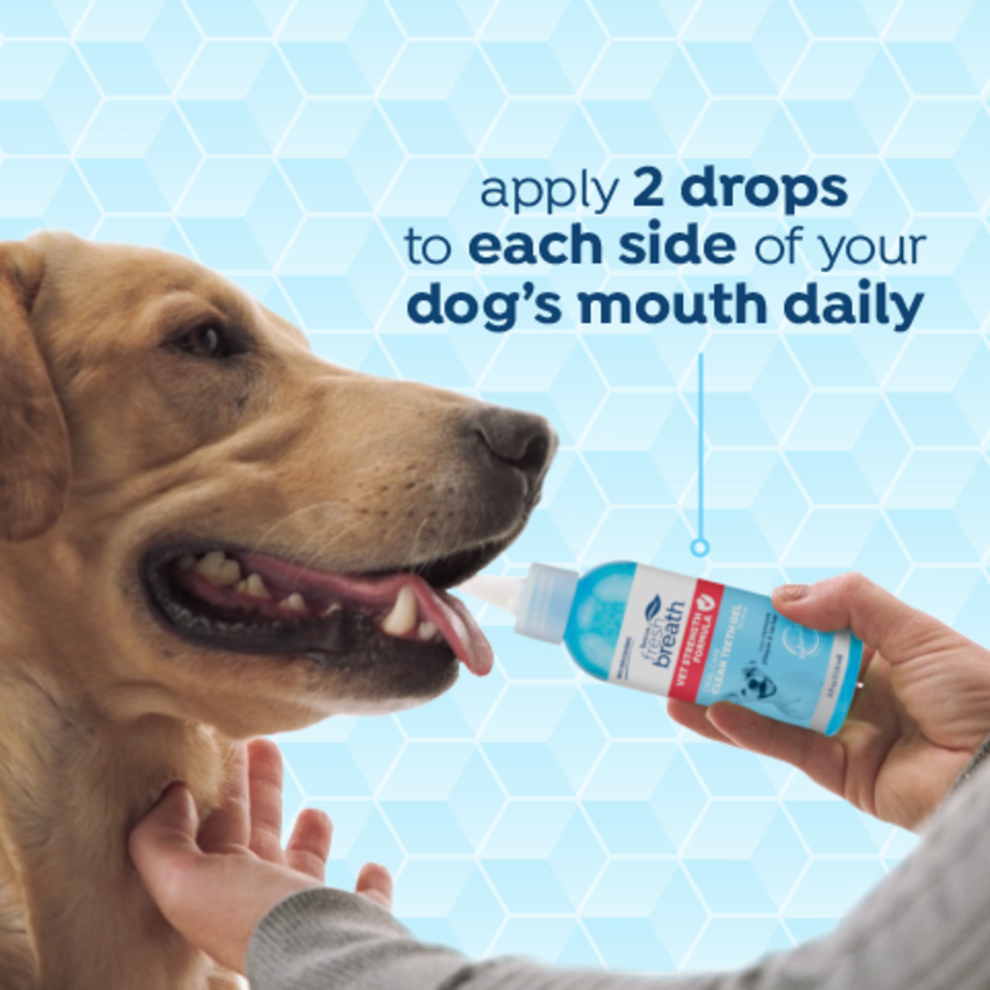 Vet Recommended Peanut Butter Oral Care Clean Teeth Gel for Dogs