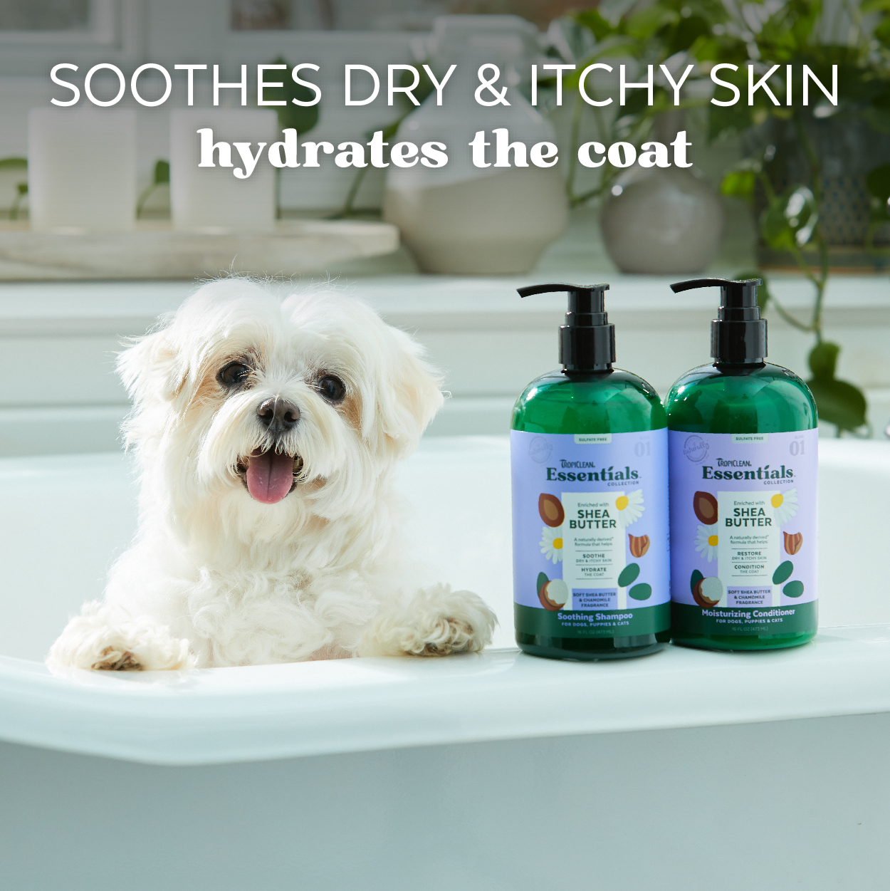 Shea Butter Soothing Shampoo for Dogs, Puppies & Cats