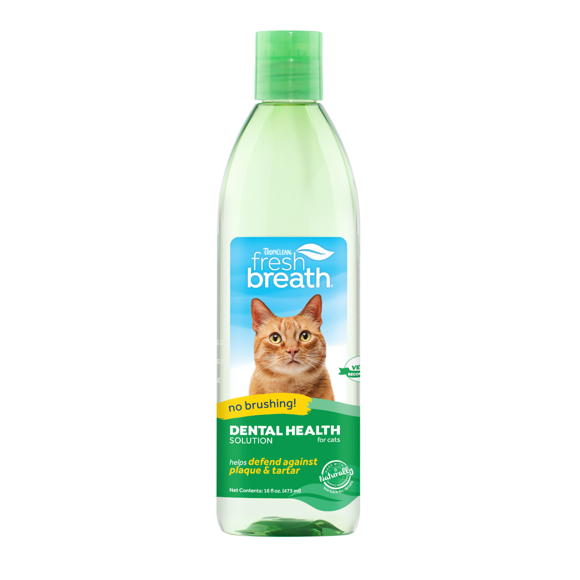 Dental Health Solution for Cats