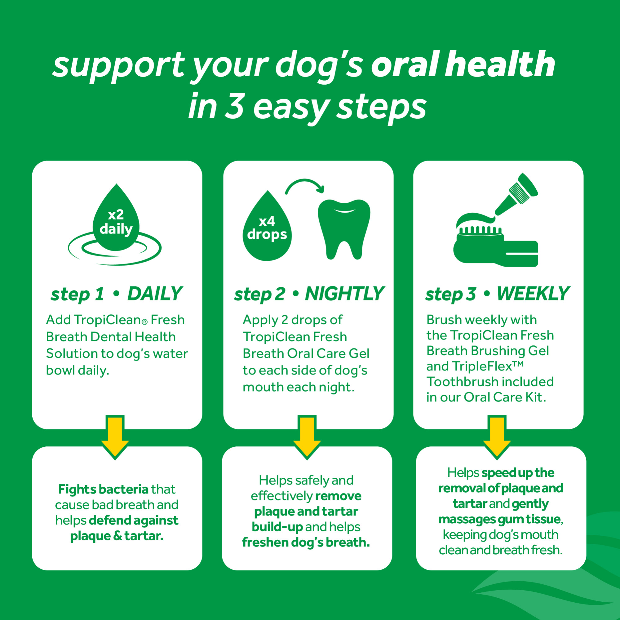 Oral Care Brushing Gel for Dogs