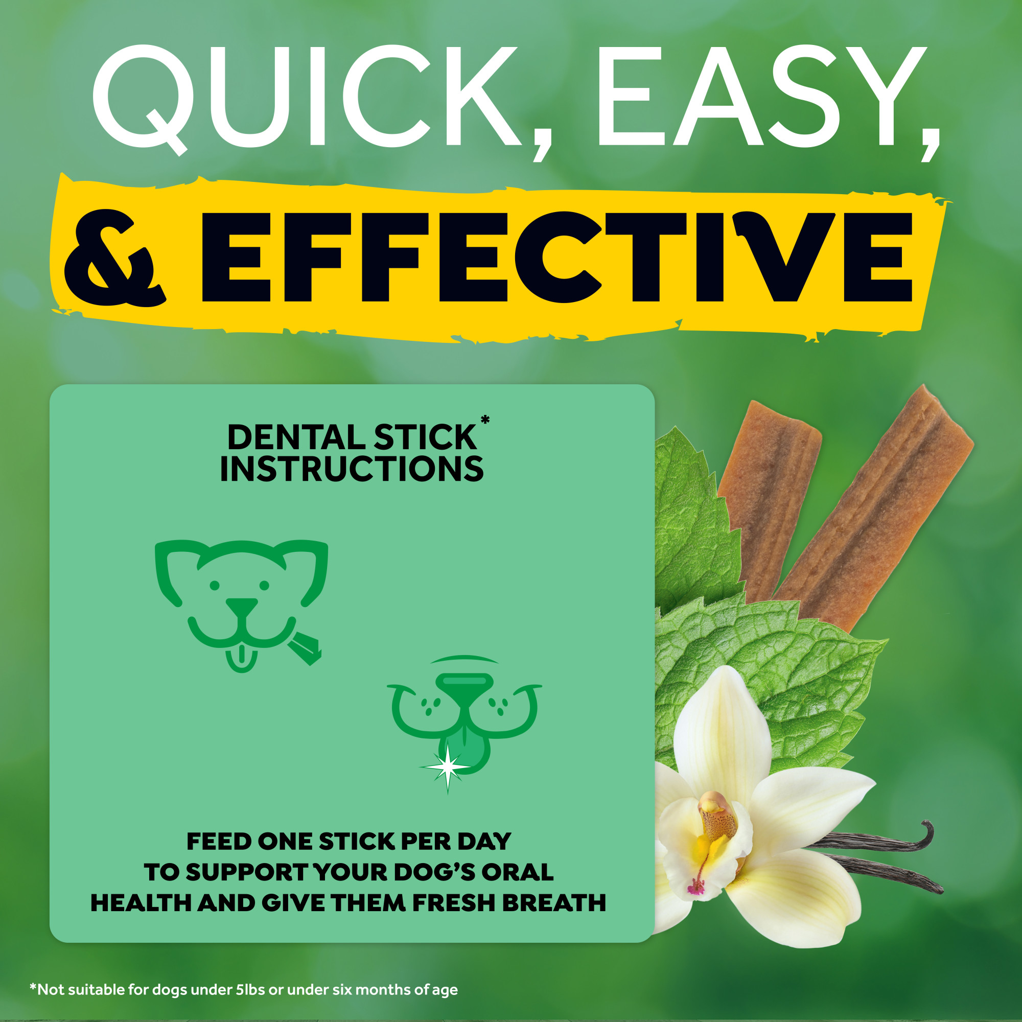 Dental Sticks for Large Dogs