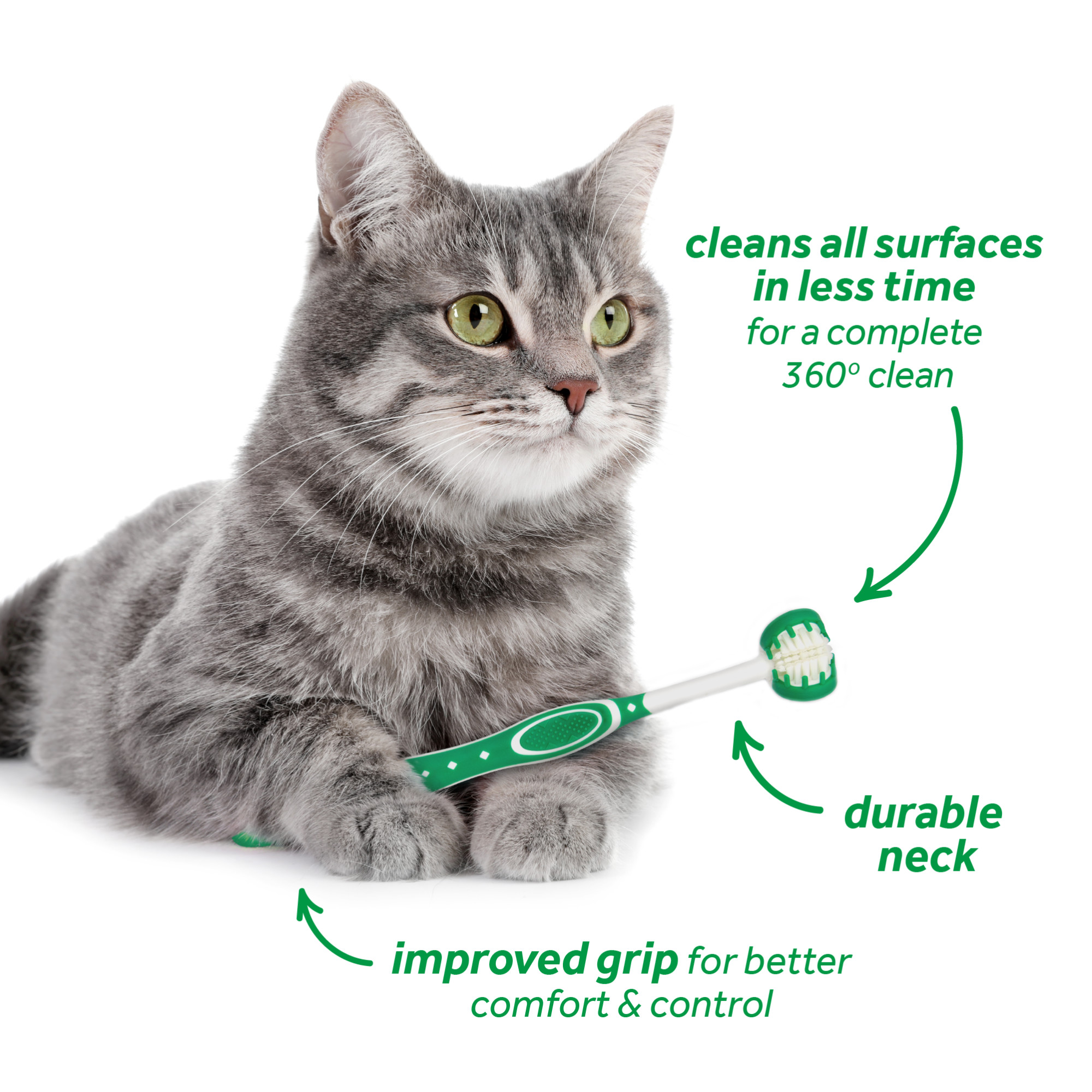 Oral Care Kit for Cats