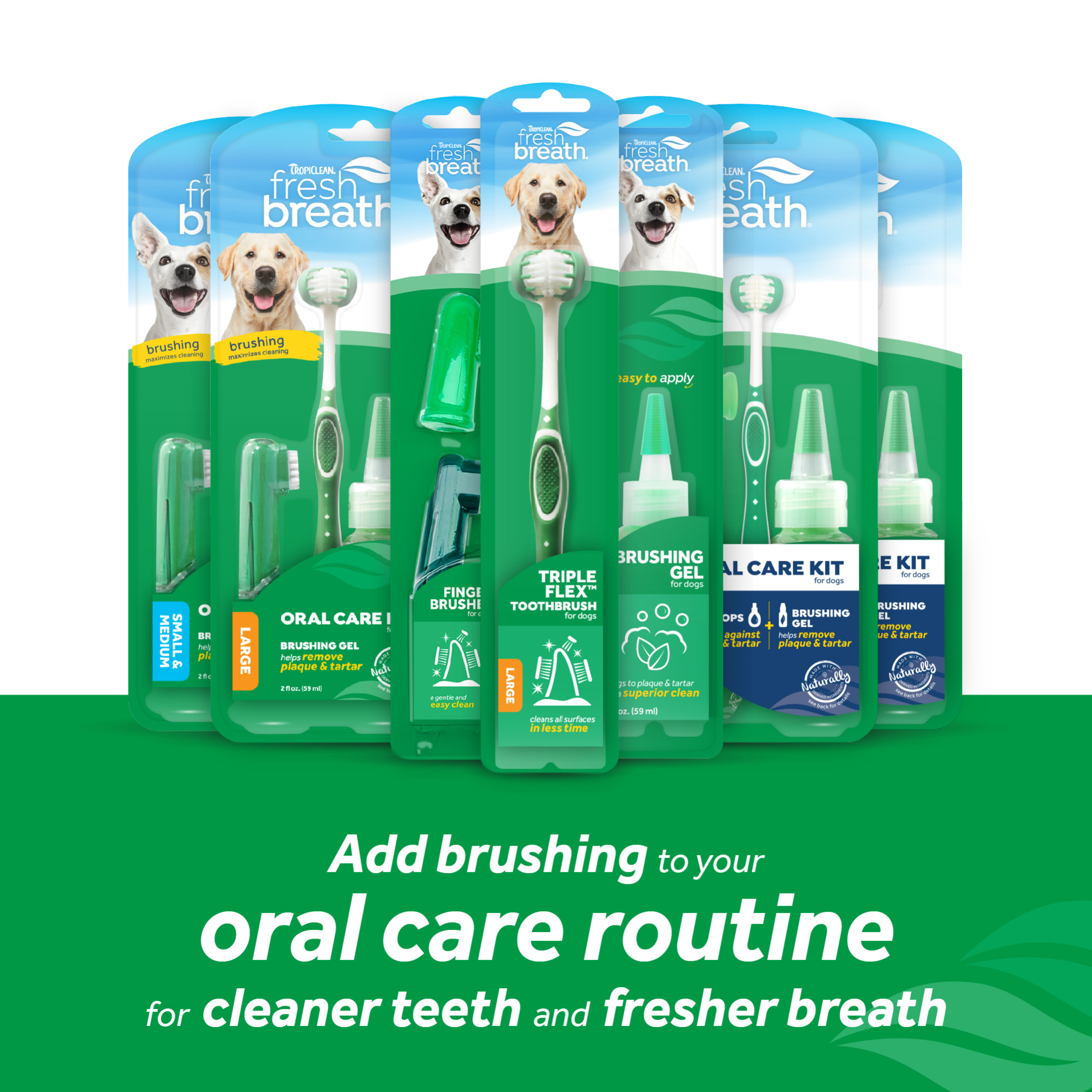 Oral Care Kit for Large Dogs