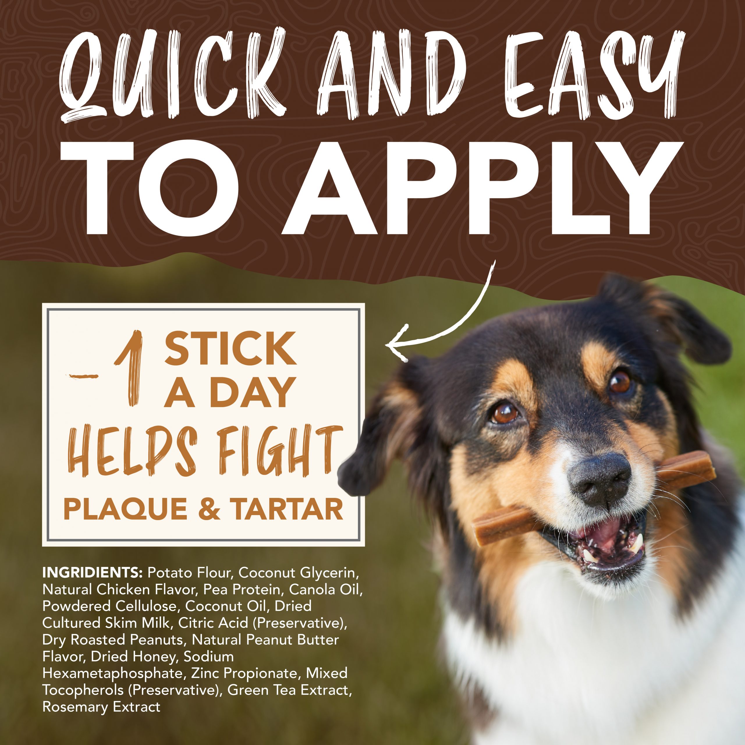 Teeth Cleaning Sticks for Dogs – Peanut Butter & Honey Flavor