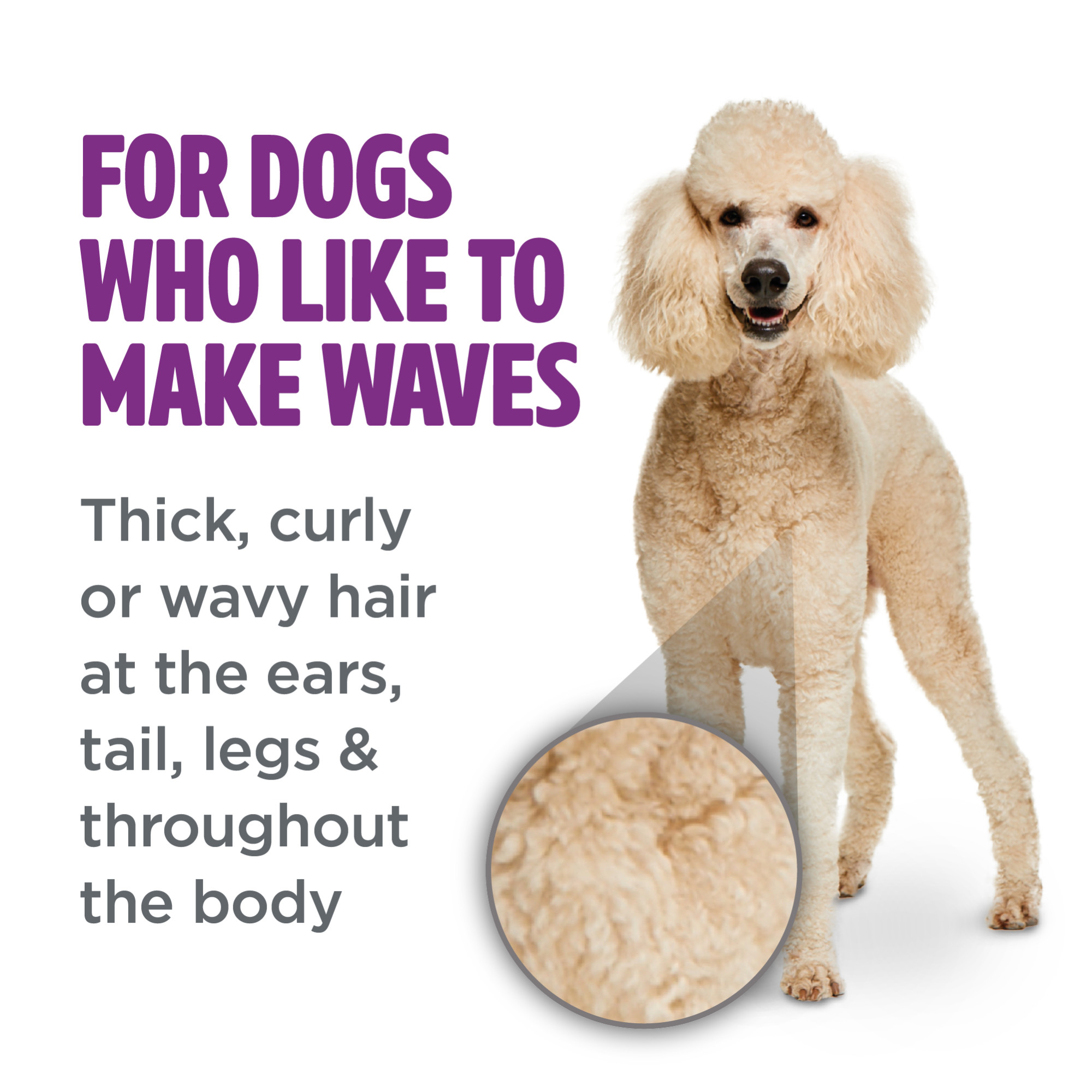 Curly & Wavy Coat Shampoo for Dogs - Tropiclean