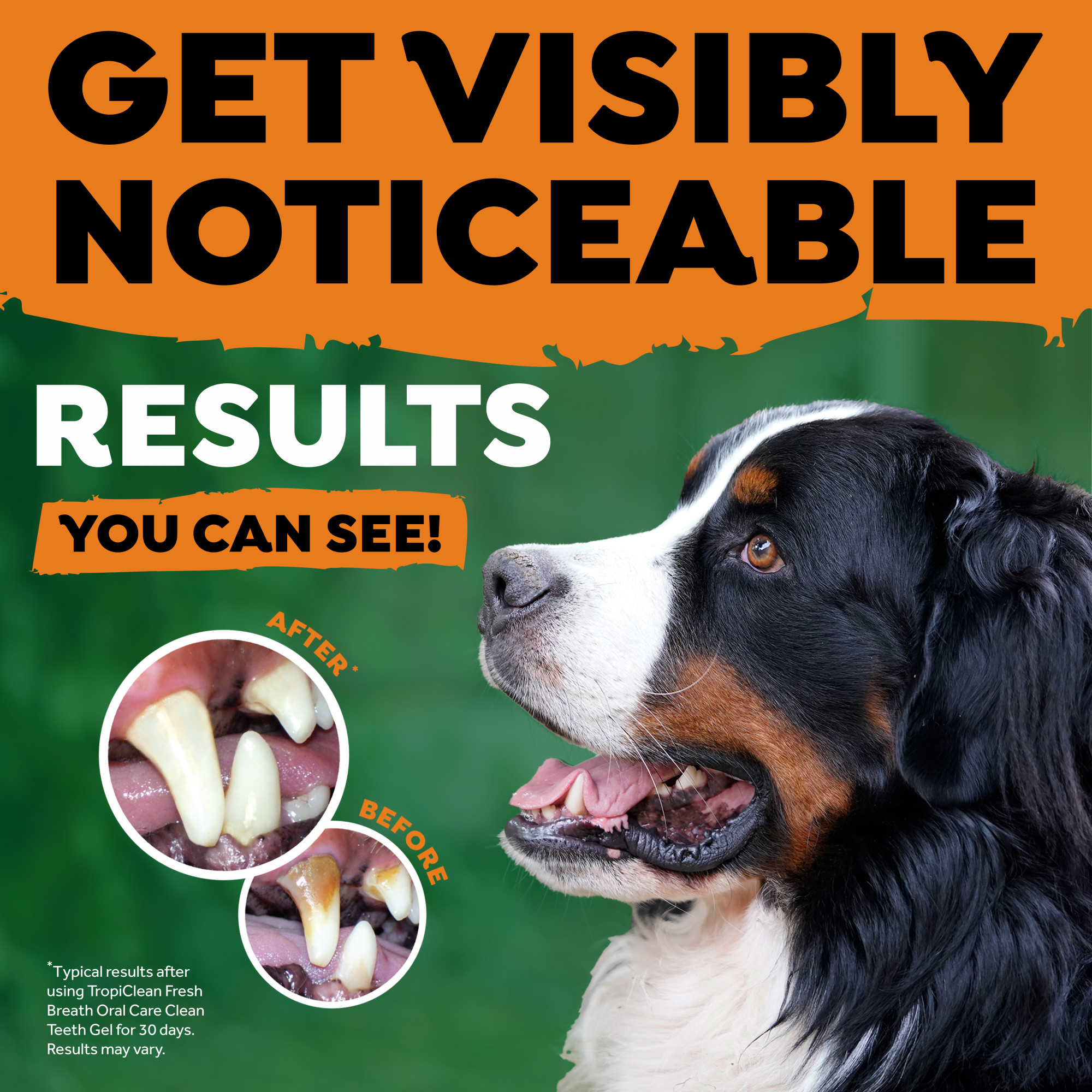 Tripleflex Toothbrush for Large Dogs