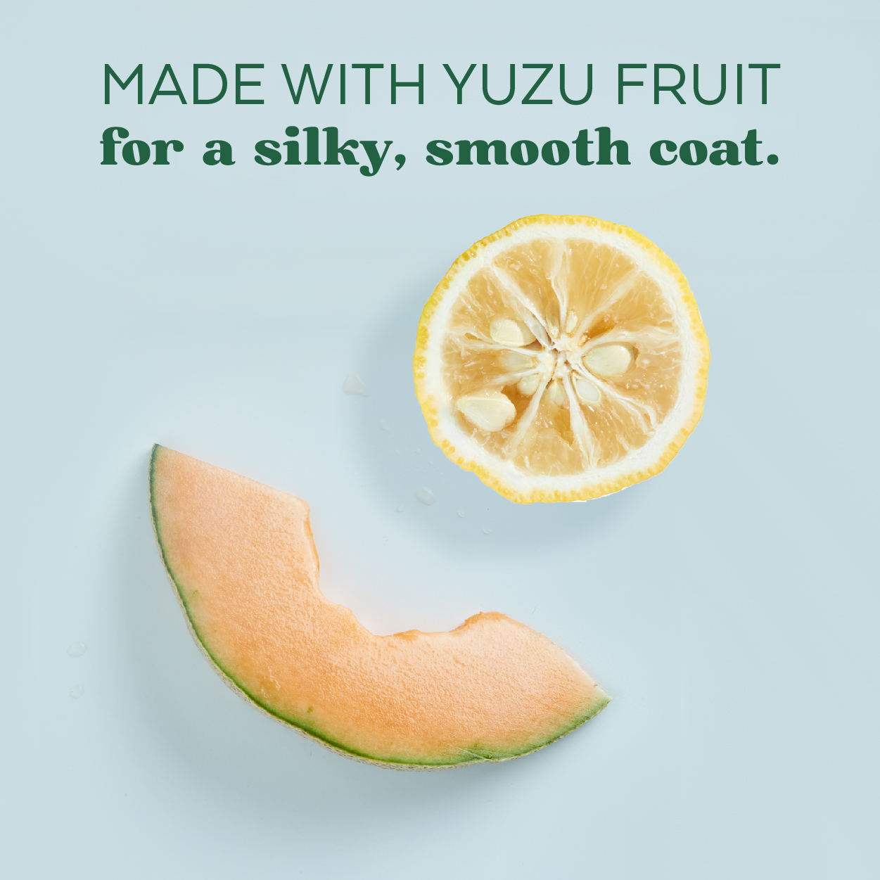 Yuzu Oil Moisturizing Shampoo for Dogs