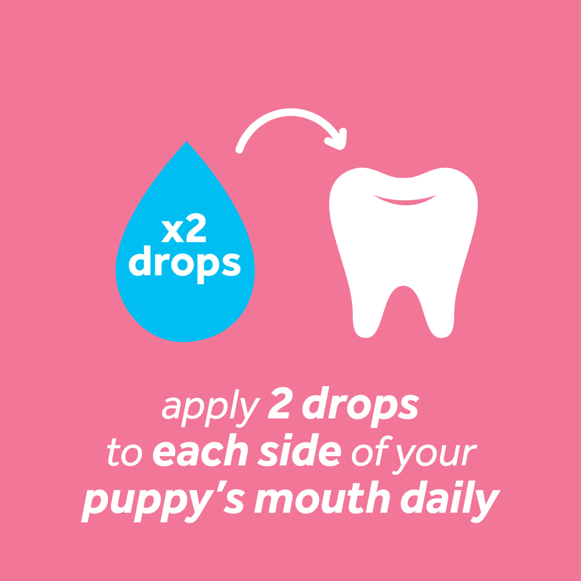 Oral Care Gel for Puppies