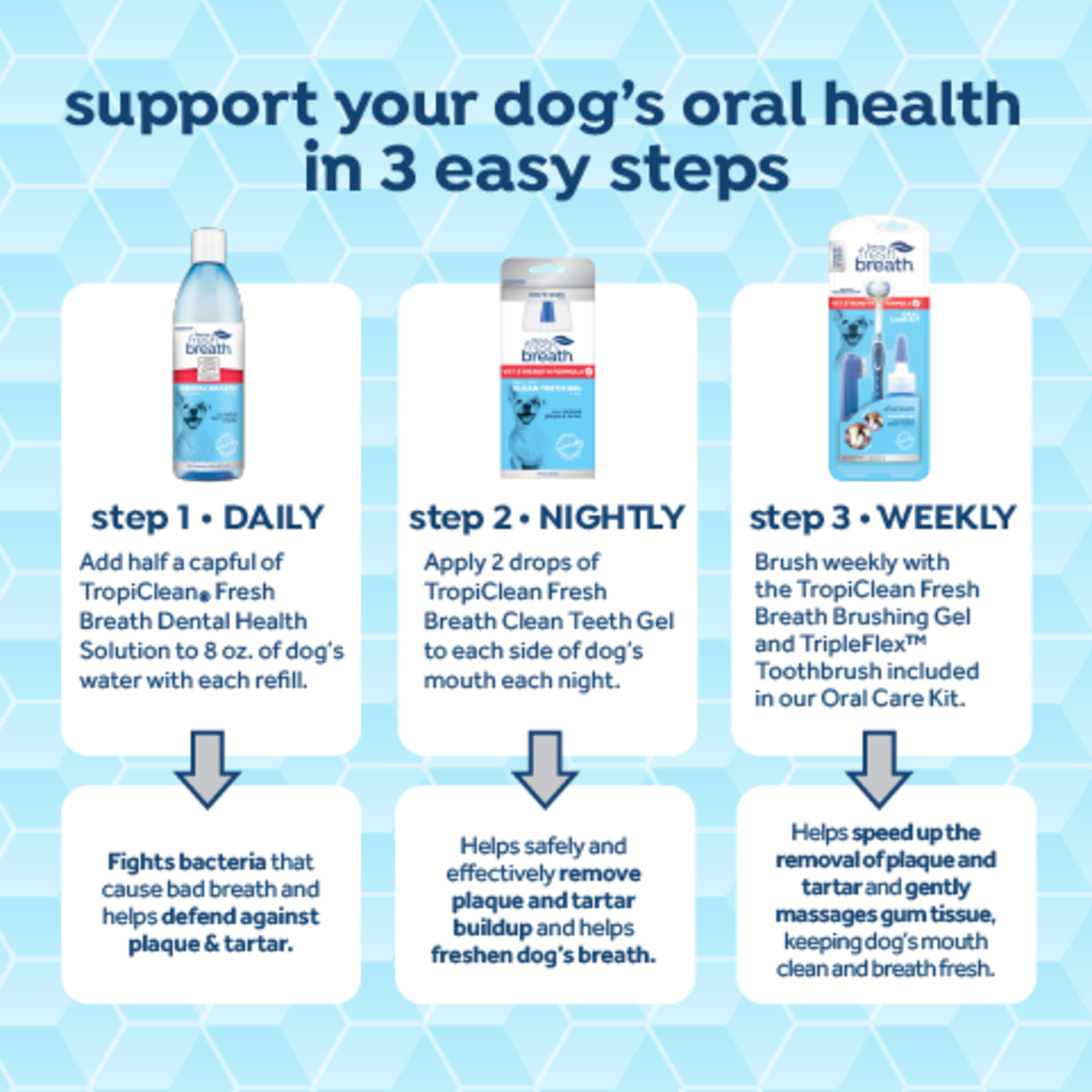 Vet Strength Oral Care Kit for Large Dogs