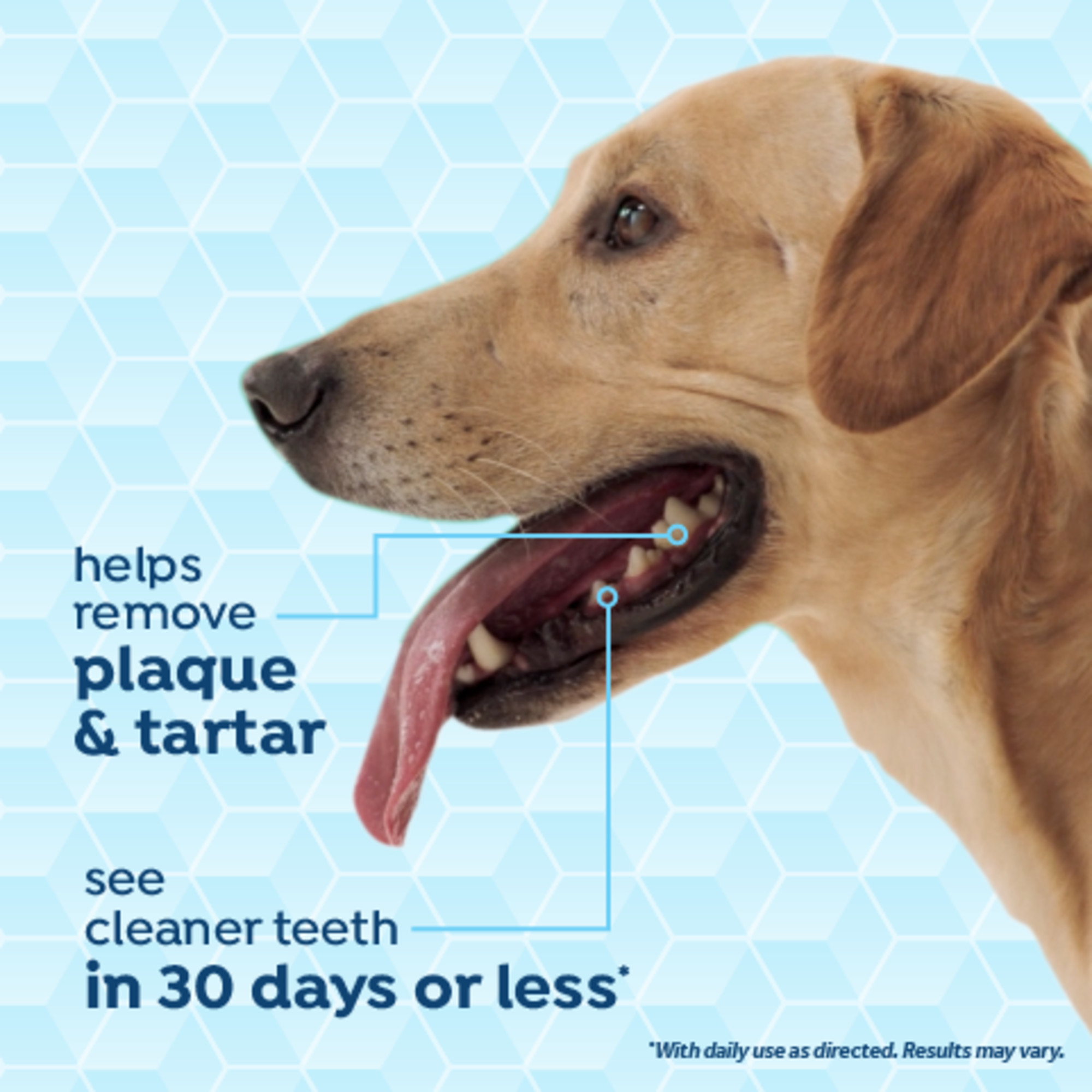 Vet Recommended Peanut Butter Oral Care Clean Teeth Gel for Dogs