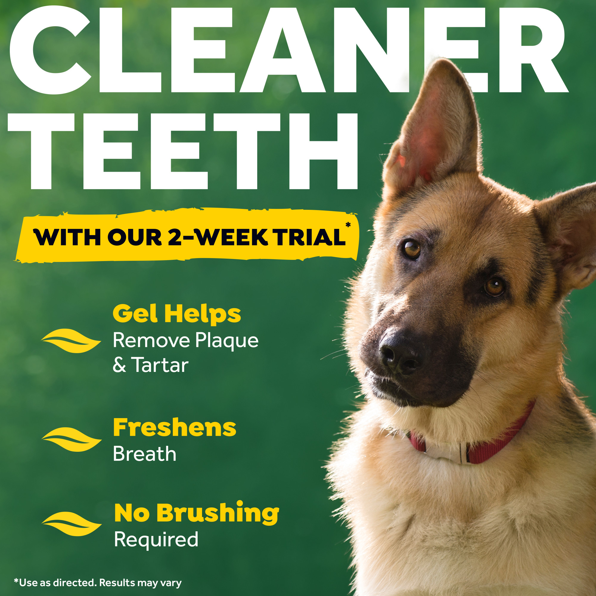 Dental Trial Kit for Dogs