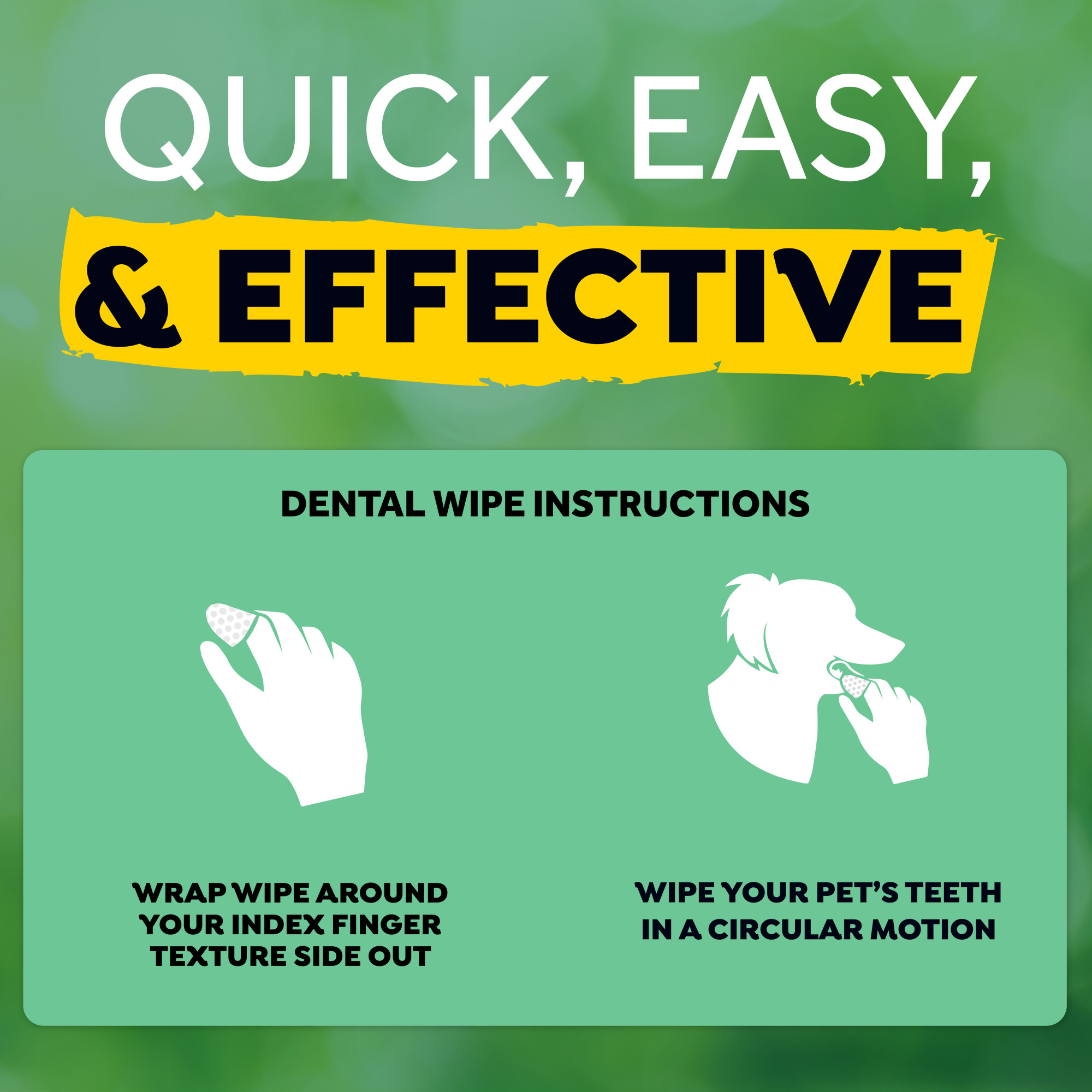 Dental Wipes for Dogs