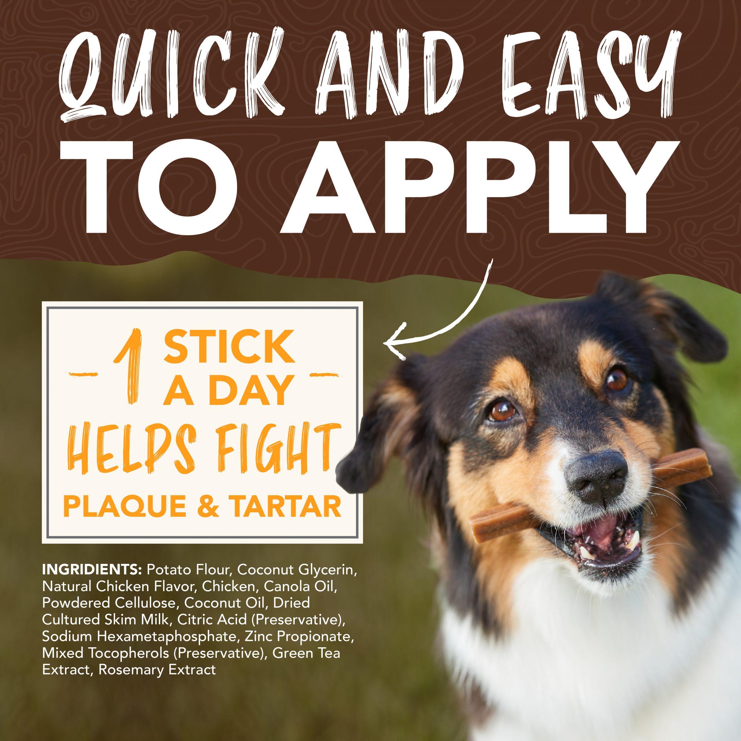 Teeth Cleaning Sticks for Dogs – Honey Marinated Chicken Flavor