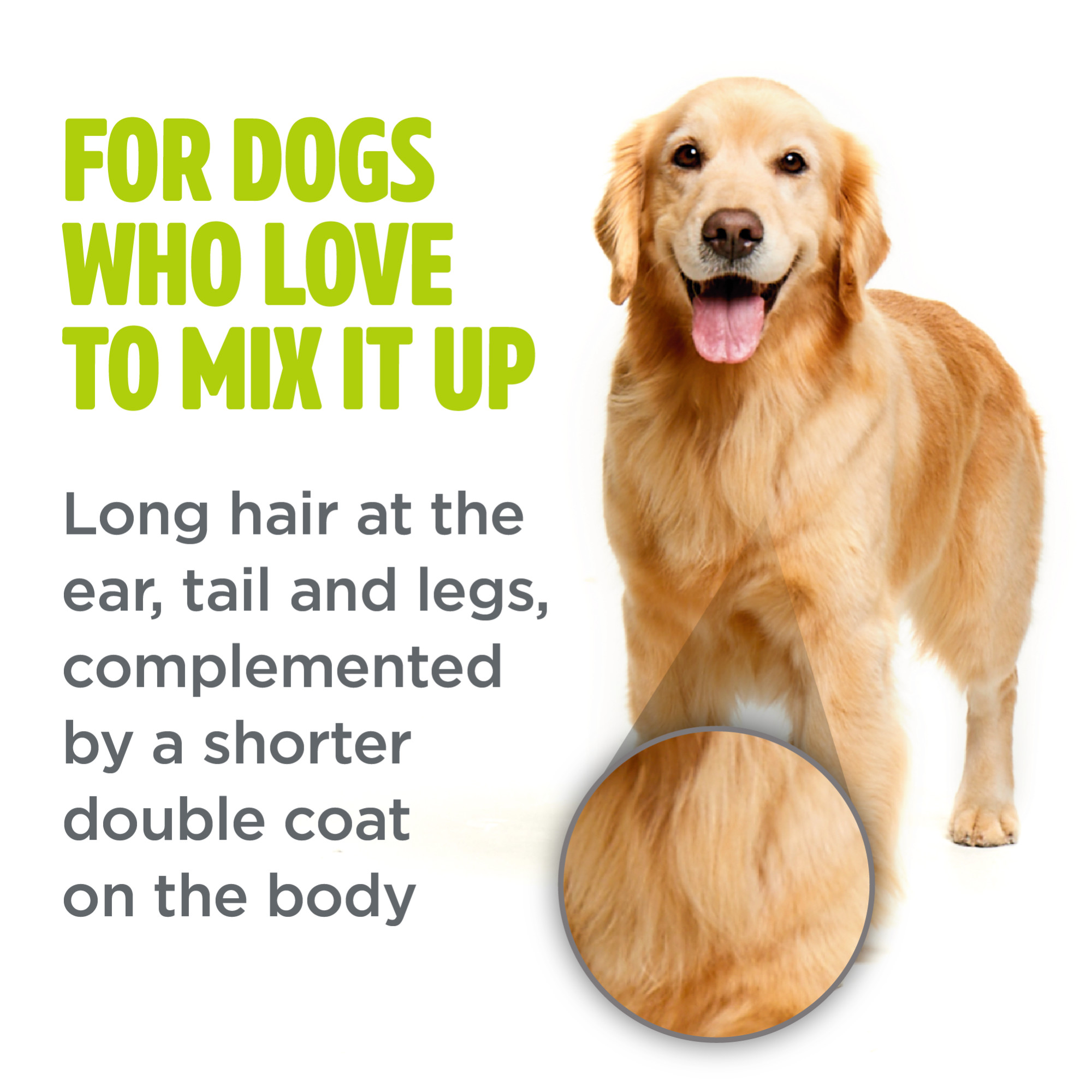 Combination Coat Shampoo for Dogs
