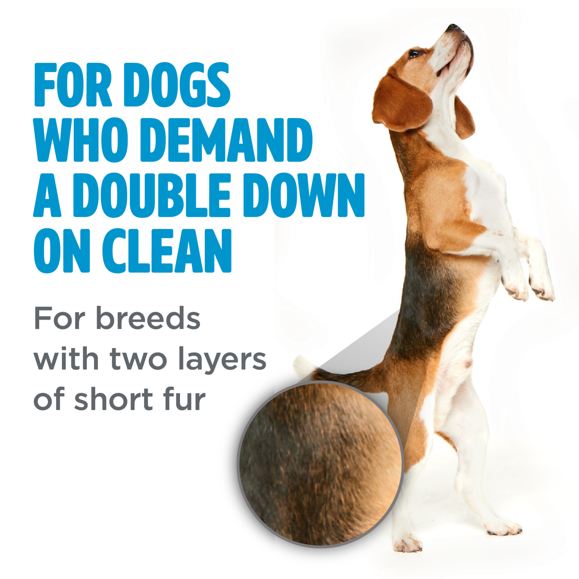 Short Double Coat Shampoo for Dogs