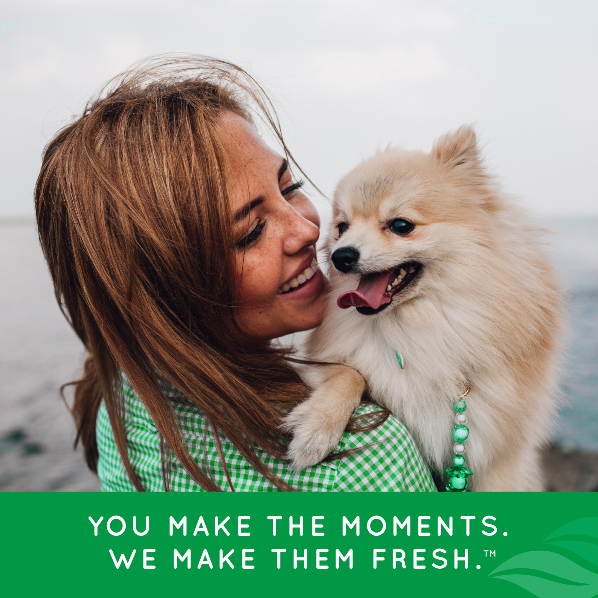 Advanced Whitening Dental Health Solution for Dogs