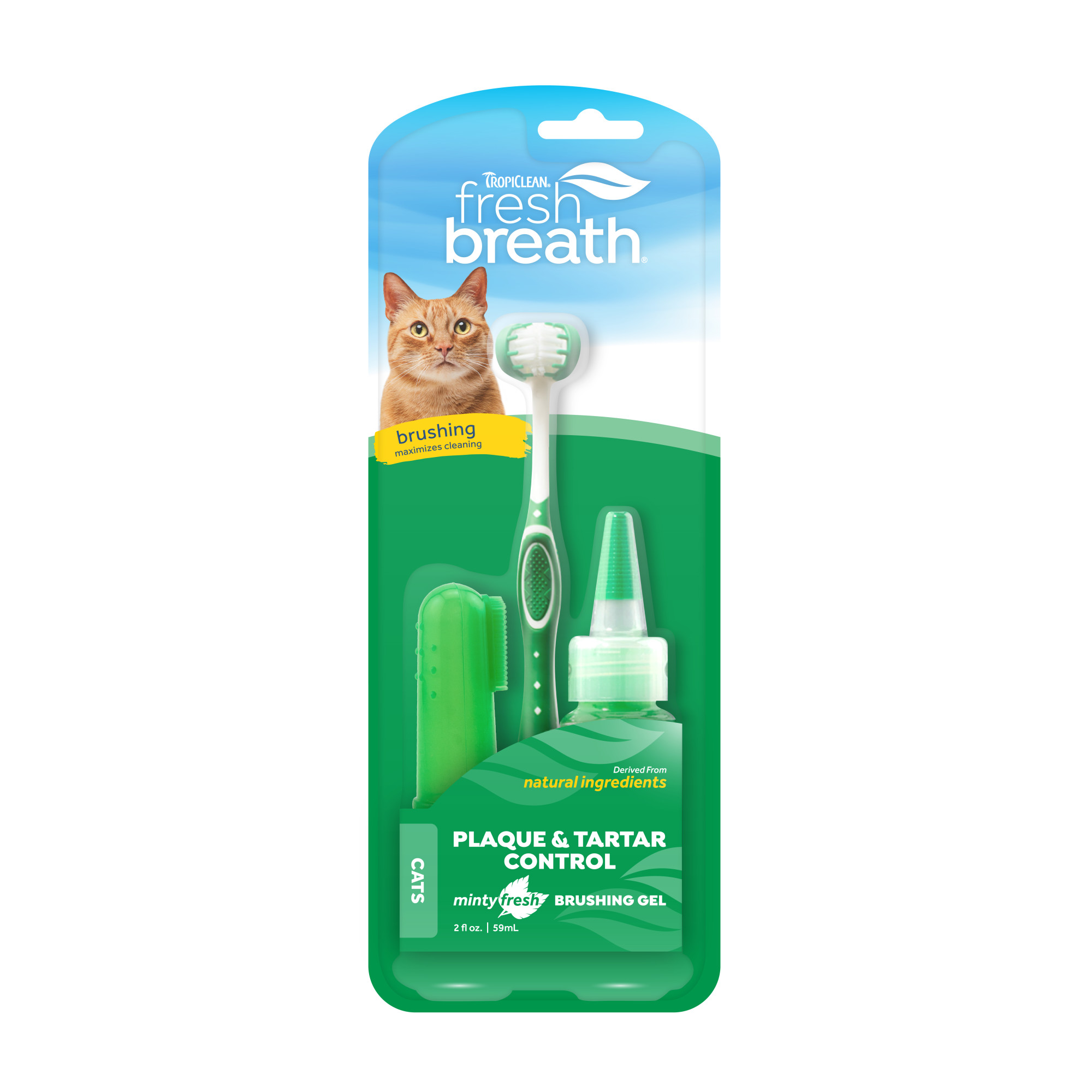 Oral Care Kit for Cats