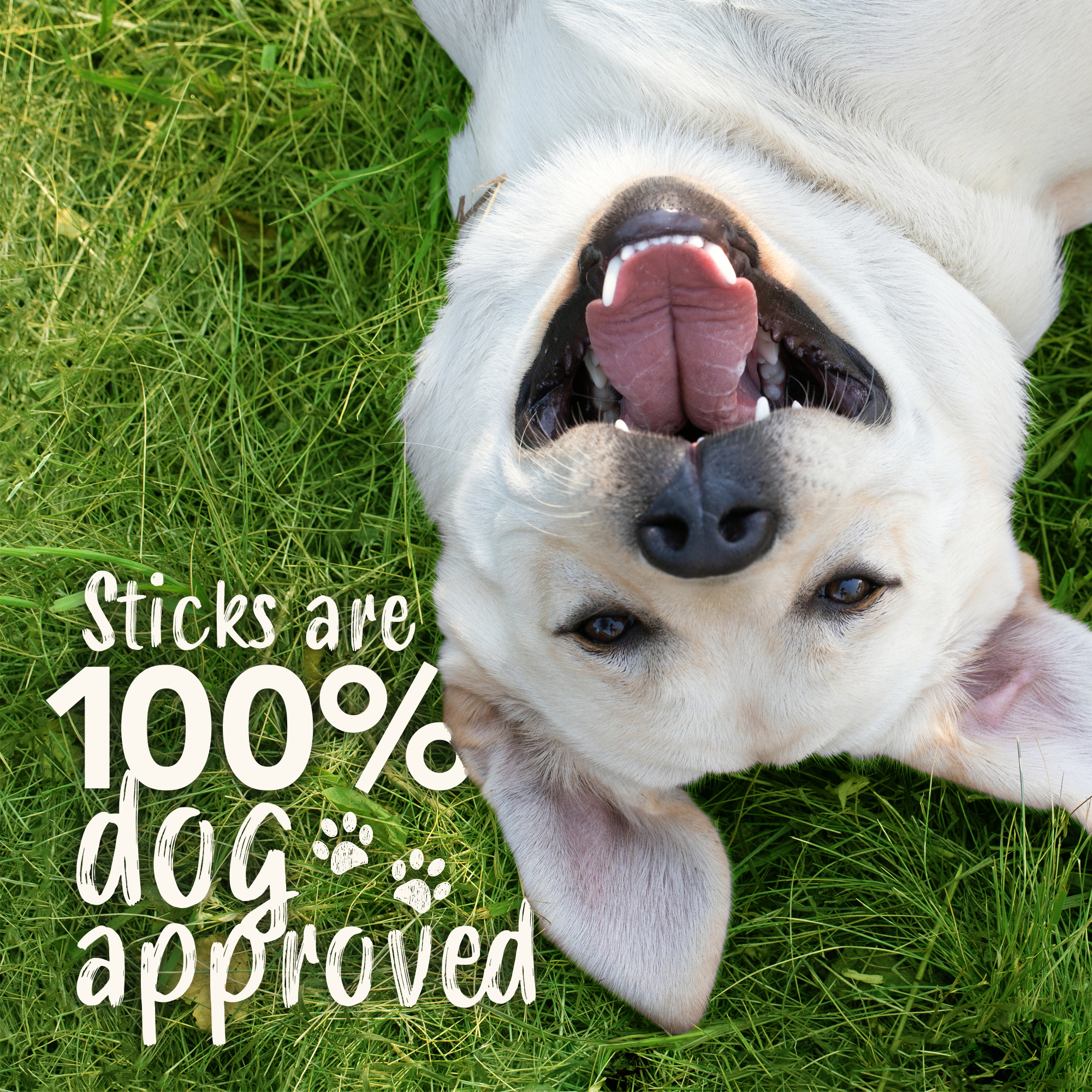 Teeth Cleaning Sticks for Dogs – Hickory Smoked Bacon Flavor