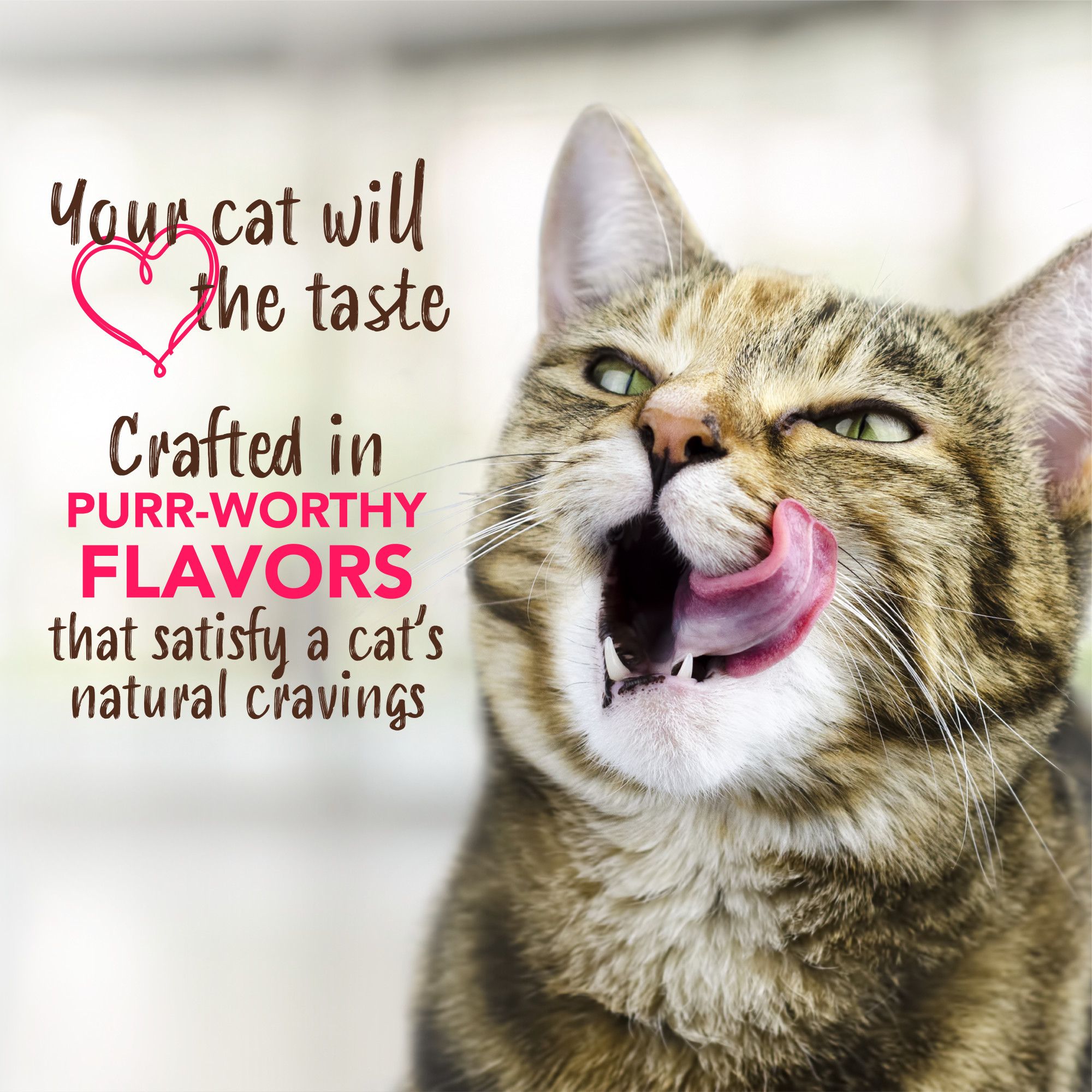 Teeth Cleaning Gel for Cats – Honey Marinated Chicken Flavor