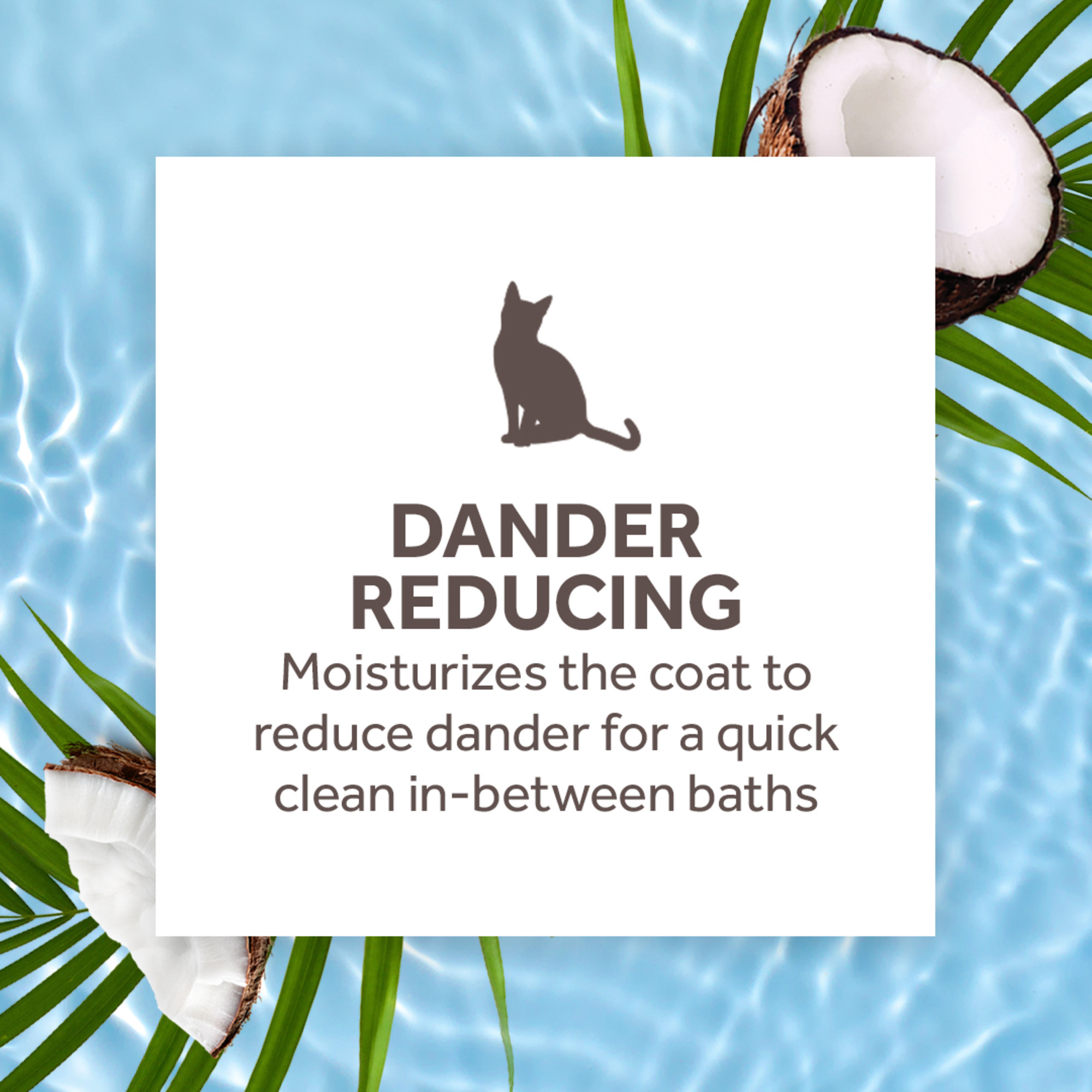 Aqua de Coco Dander Reducing Waterless Shampoo for Cats