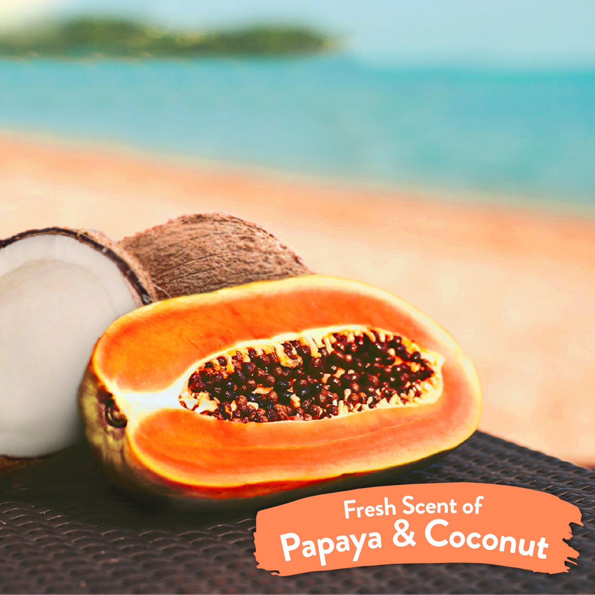 Papaya & Coconut Waterless Shampoo for Pets