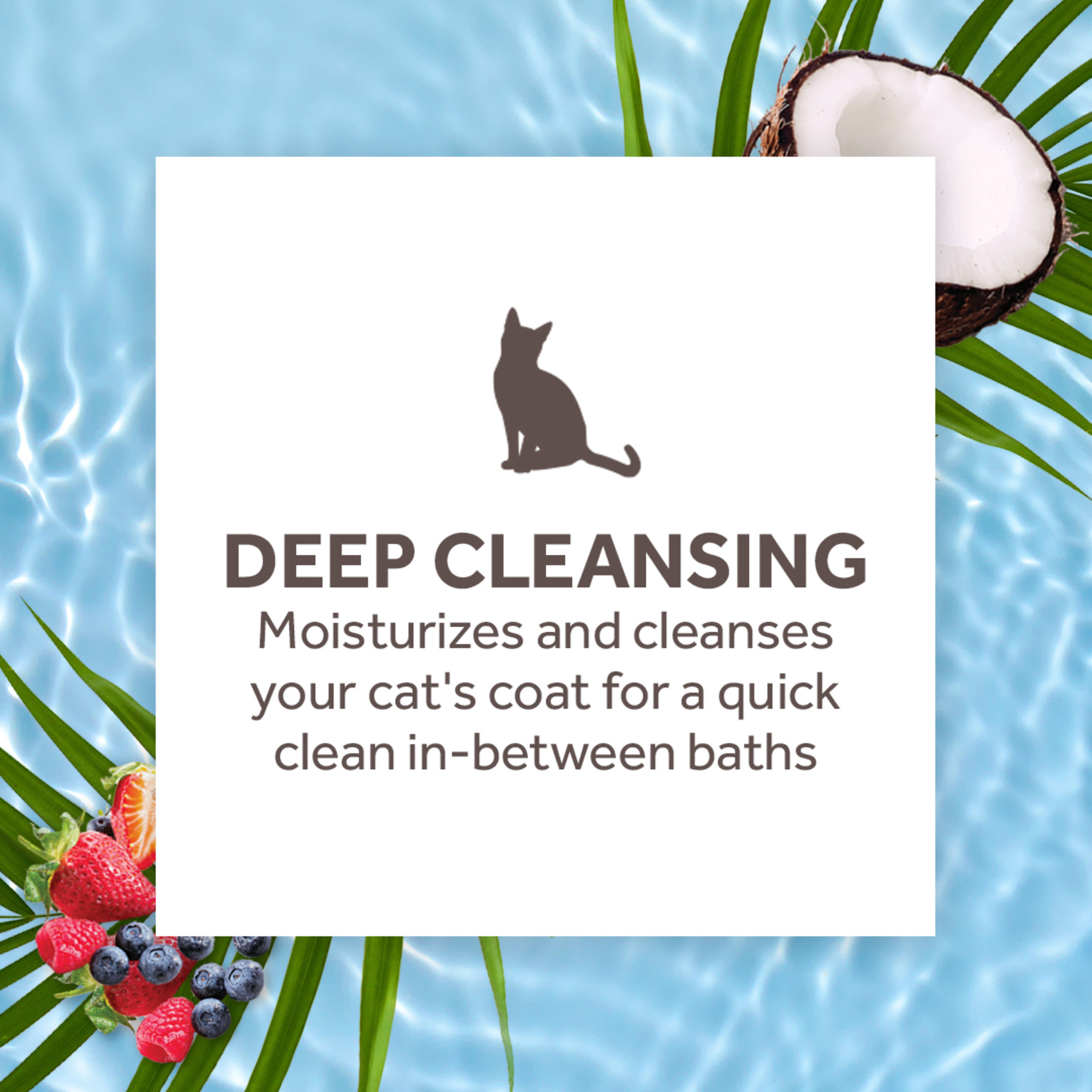 Berry & Coconut Deep Cleansing Waterless Shampoo for Cats